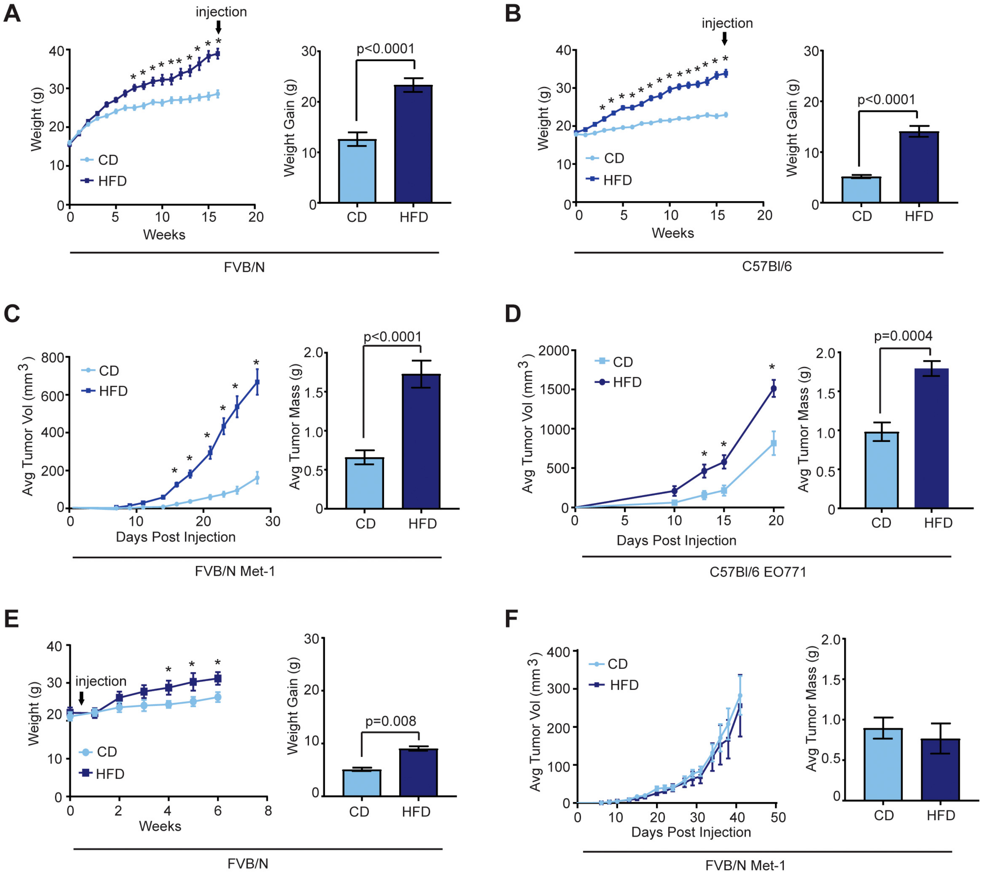 Cancers 12 00502 g001 Cancers 12 00502 g001