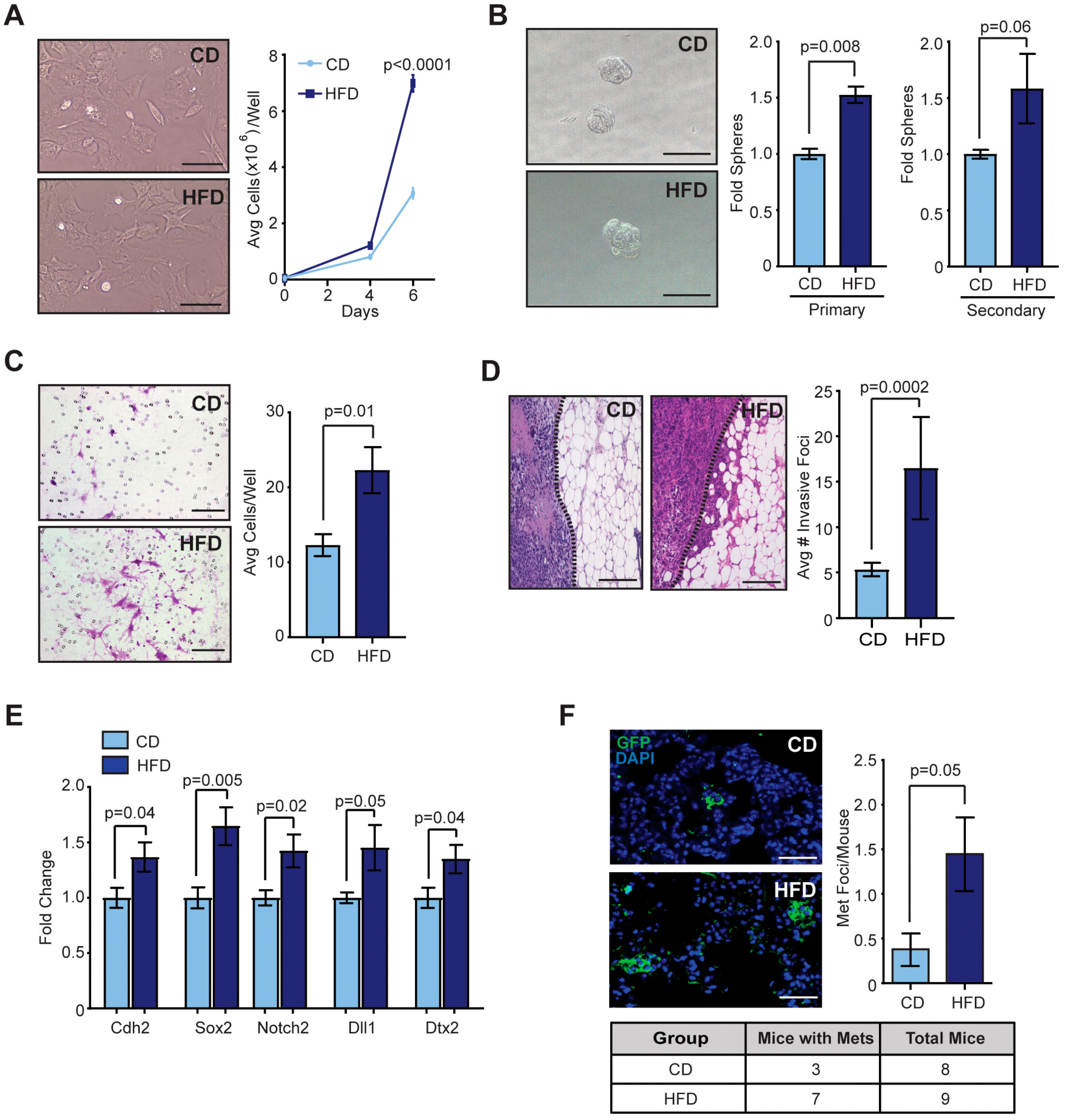 Cancers 12 00502 g002 Cancers 12 00502 g002