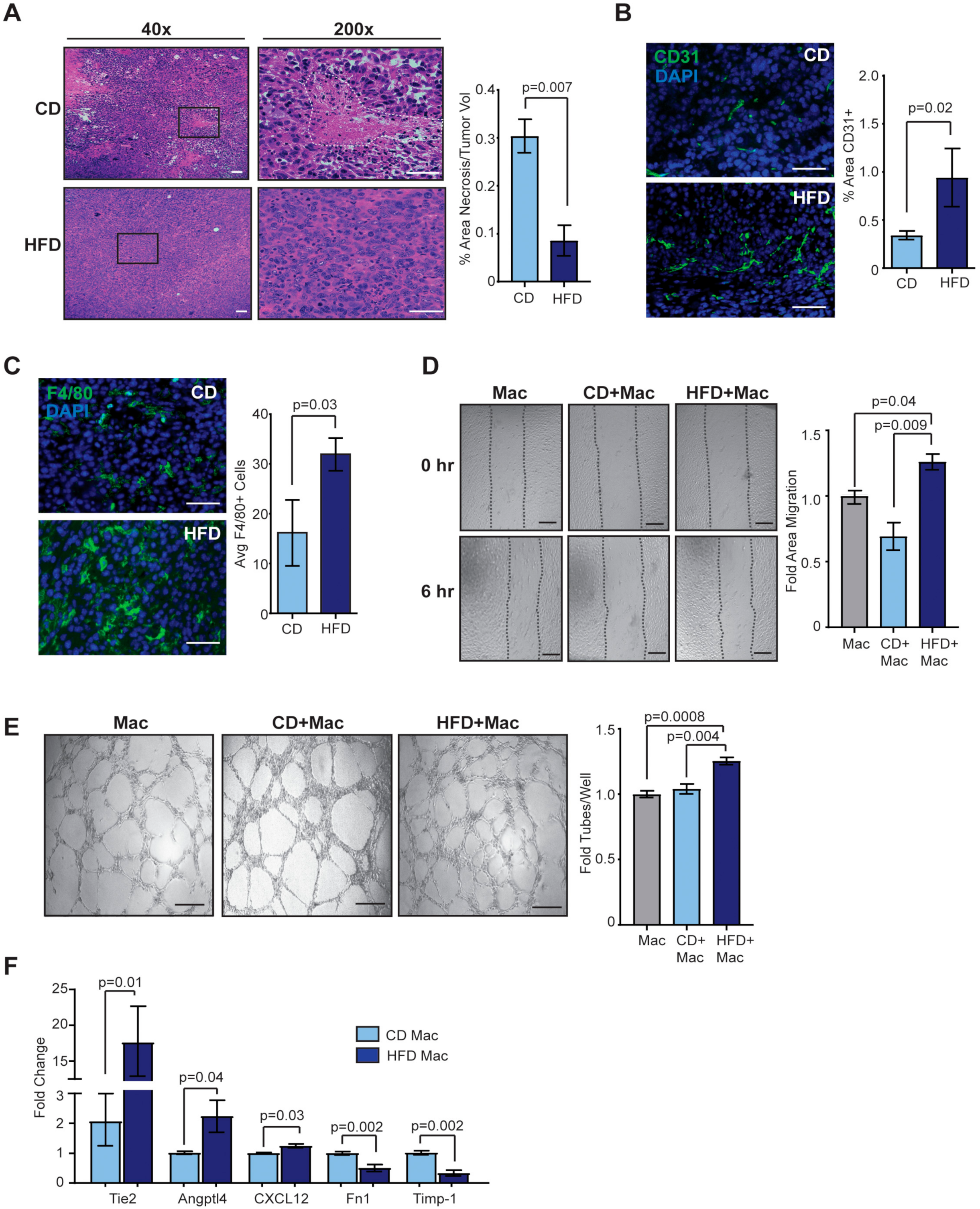 Cancers 12 00502 g003 Cancers 12 00502 g003