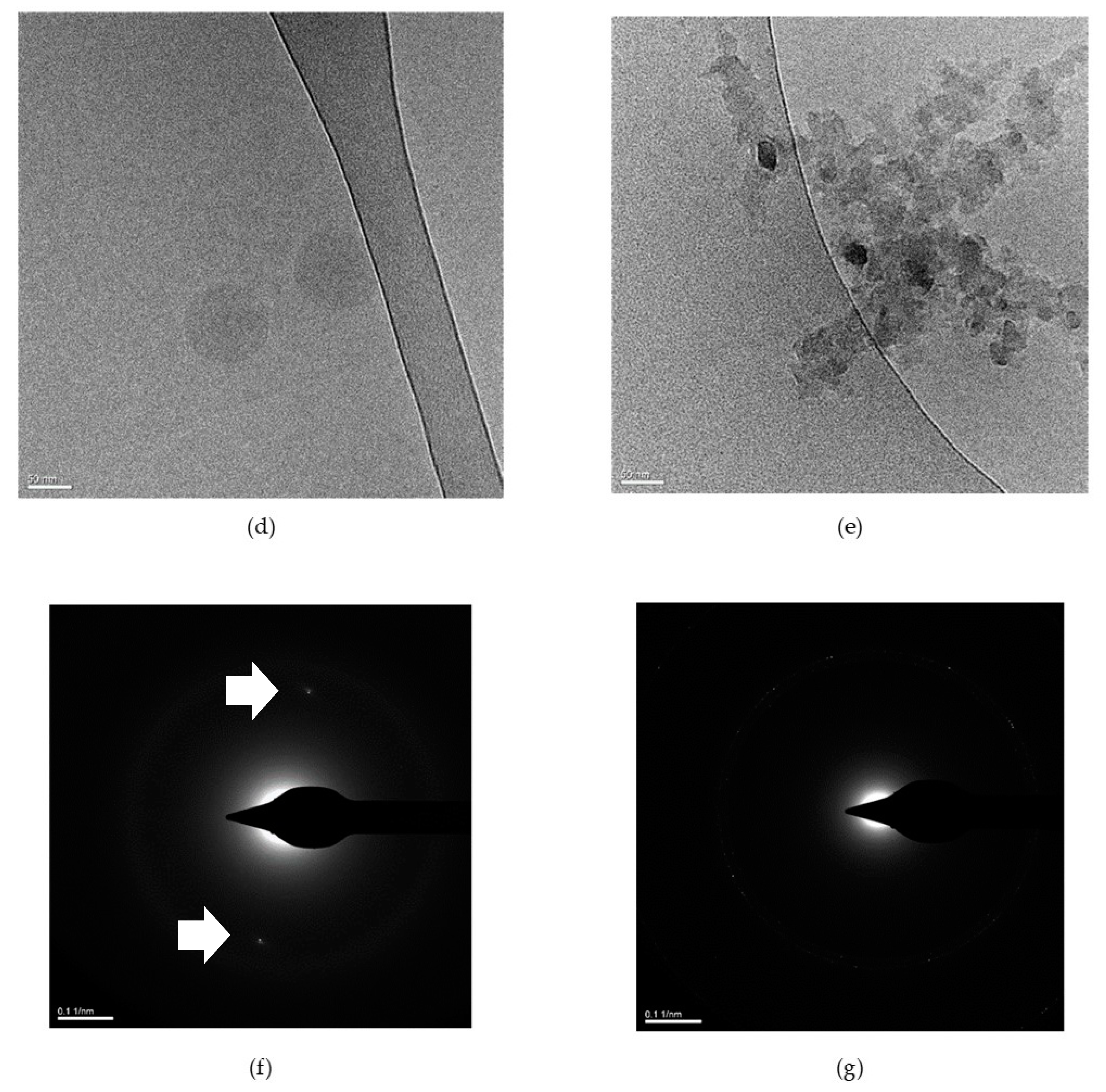 Cancers 12 00503 g002b