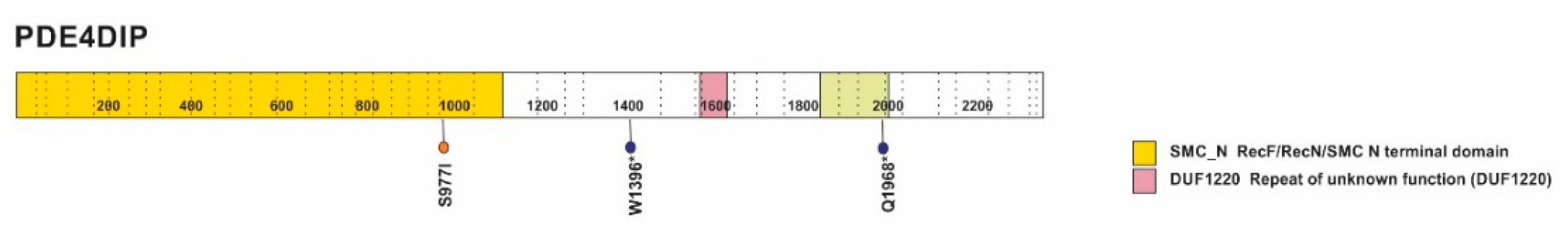 Cancers 12 00506 g003