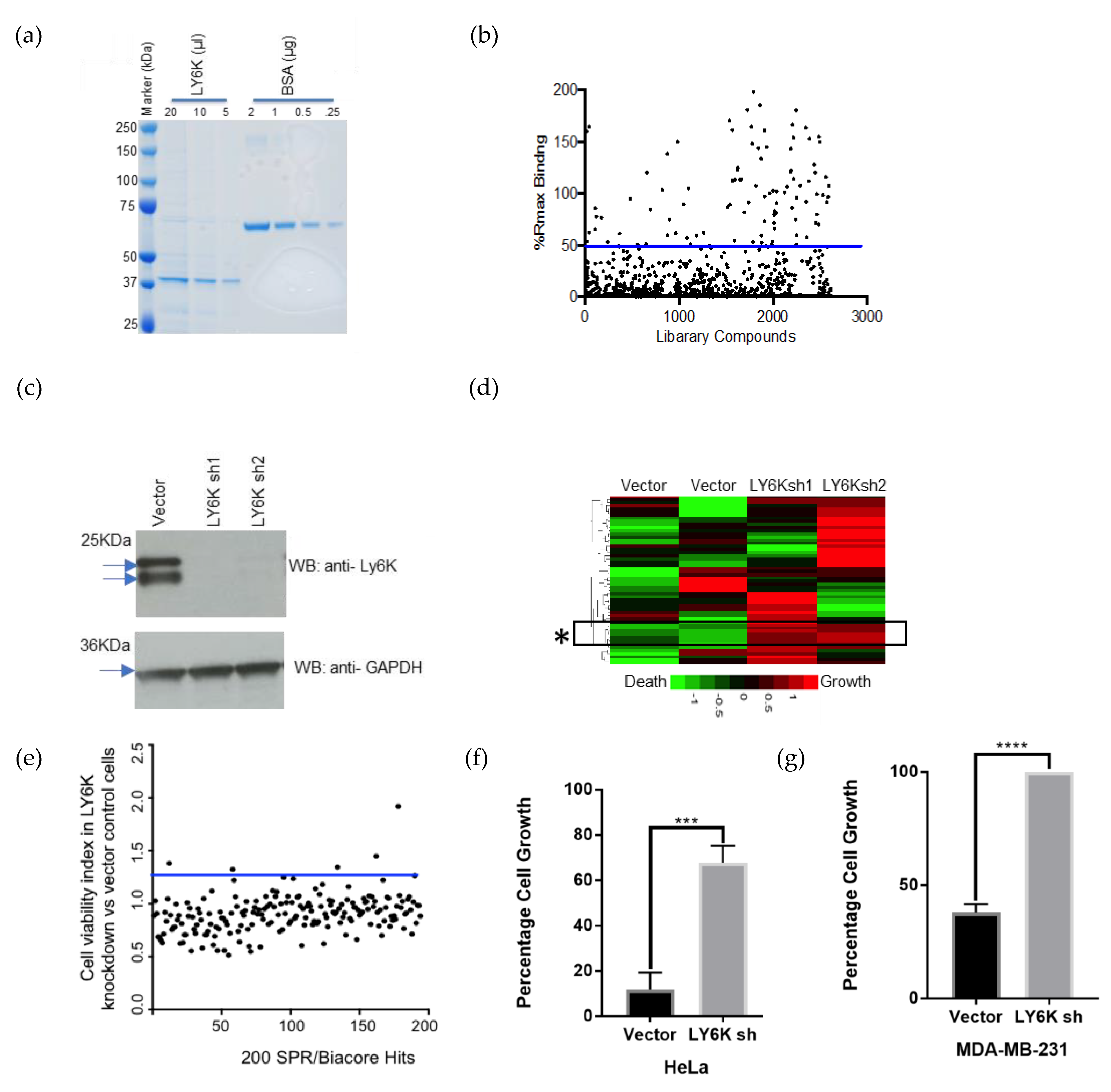 Cancers 12 00509 g002
