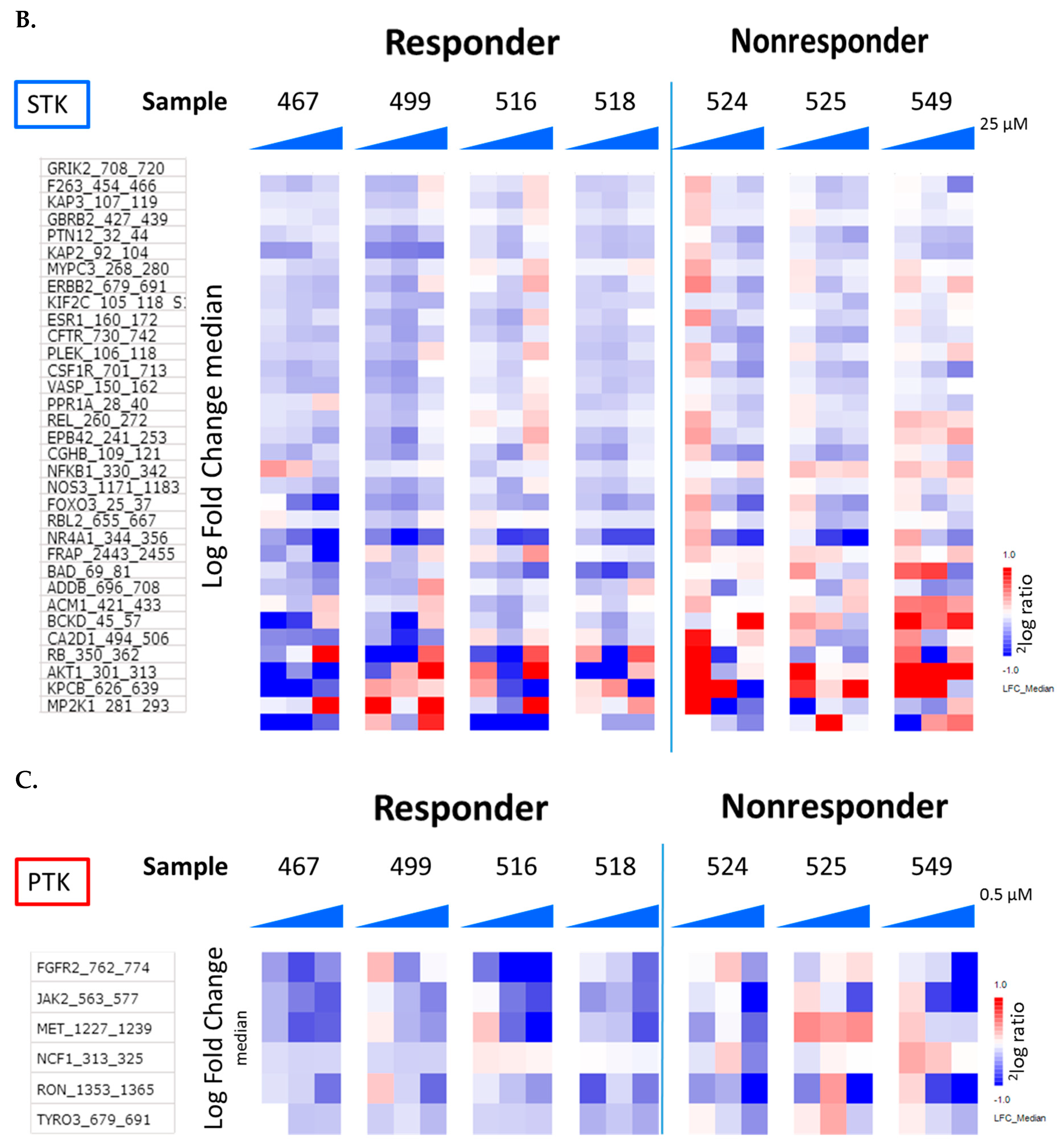 Cancers 12 00512 g002b Cancers 12 00512 g002b