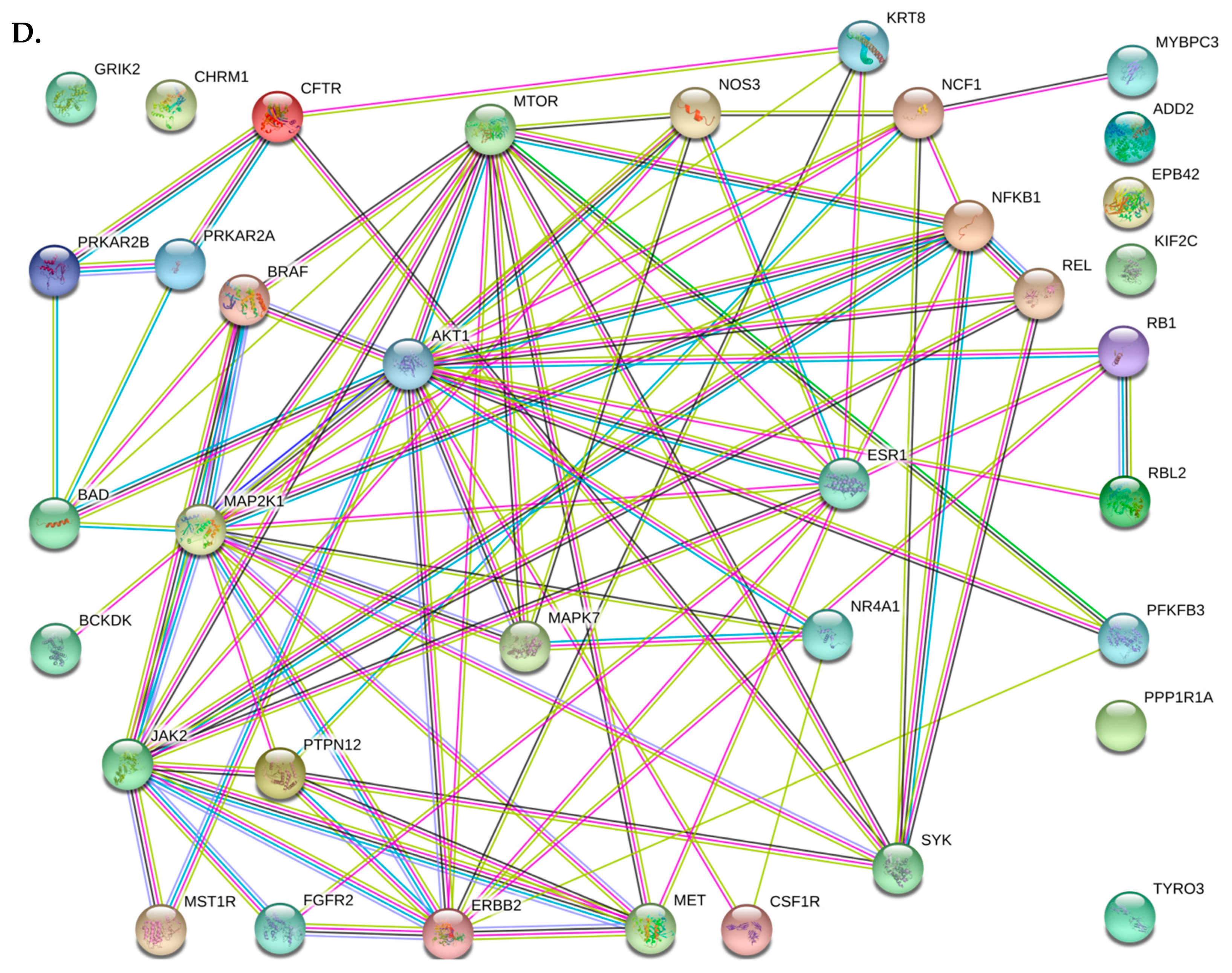Cancers 12 00512 g002c Cancers 12 00512 g002c