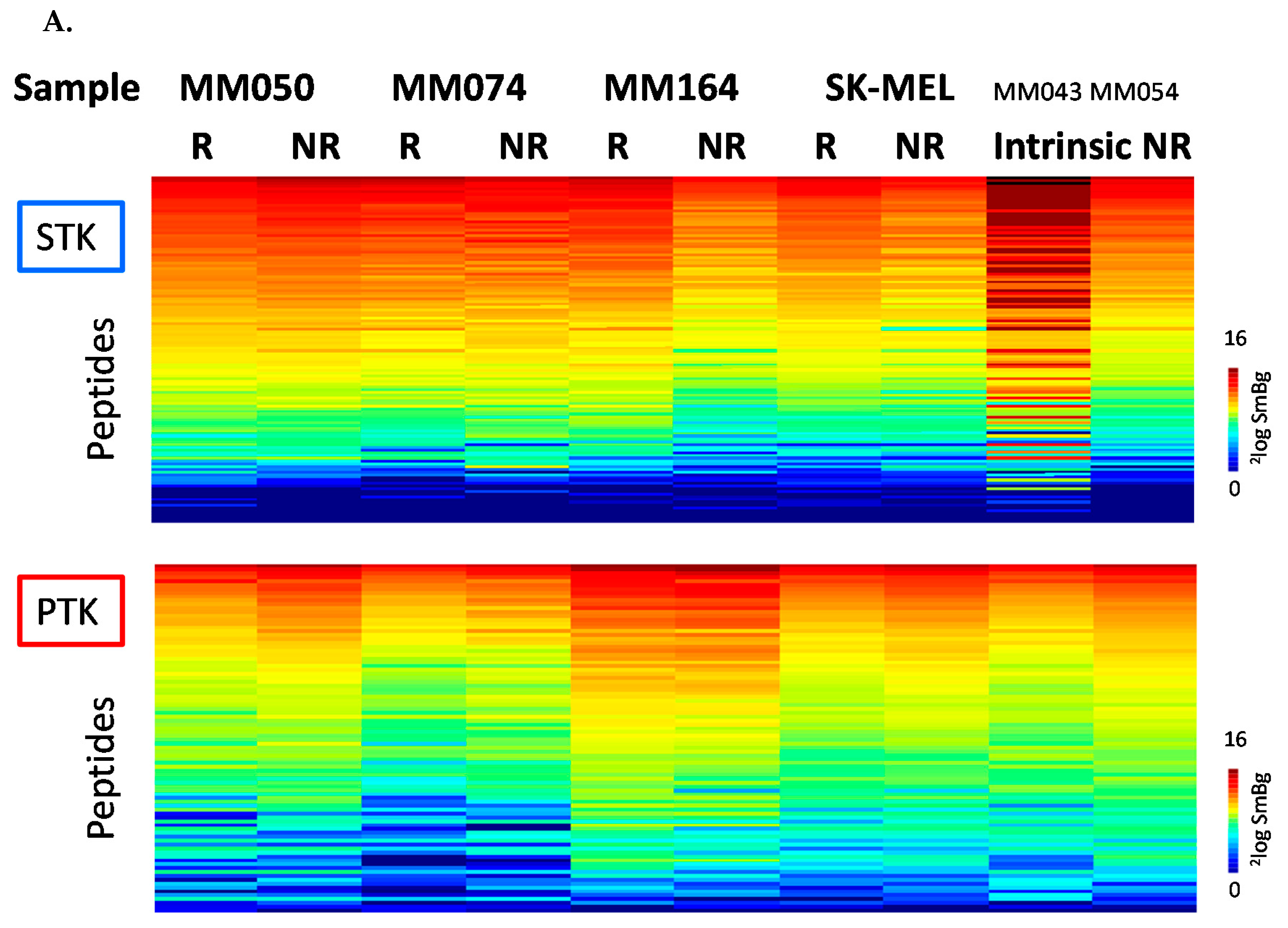 Cancers 12 00512 g003a Cancers 12 00512 g003a