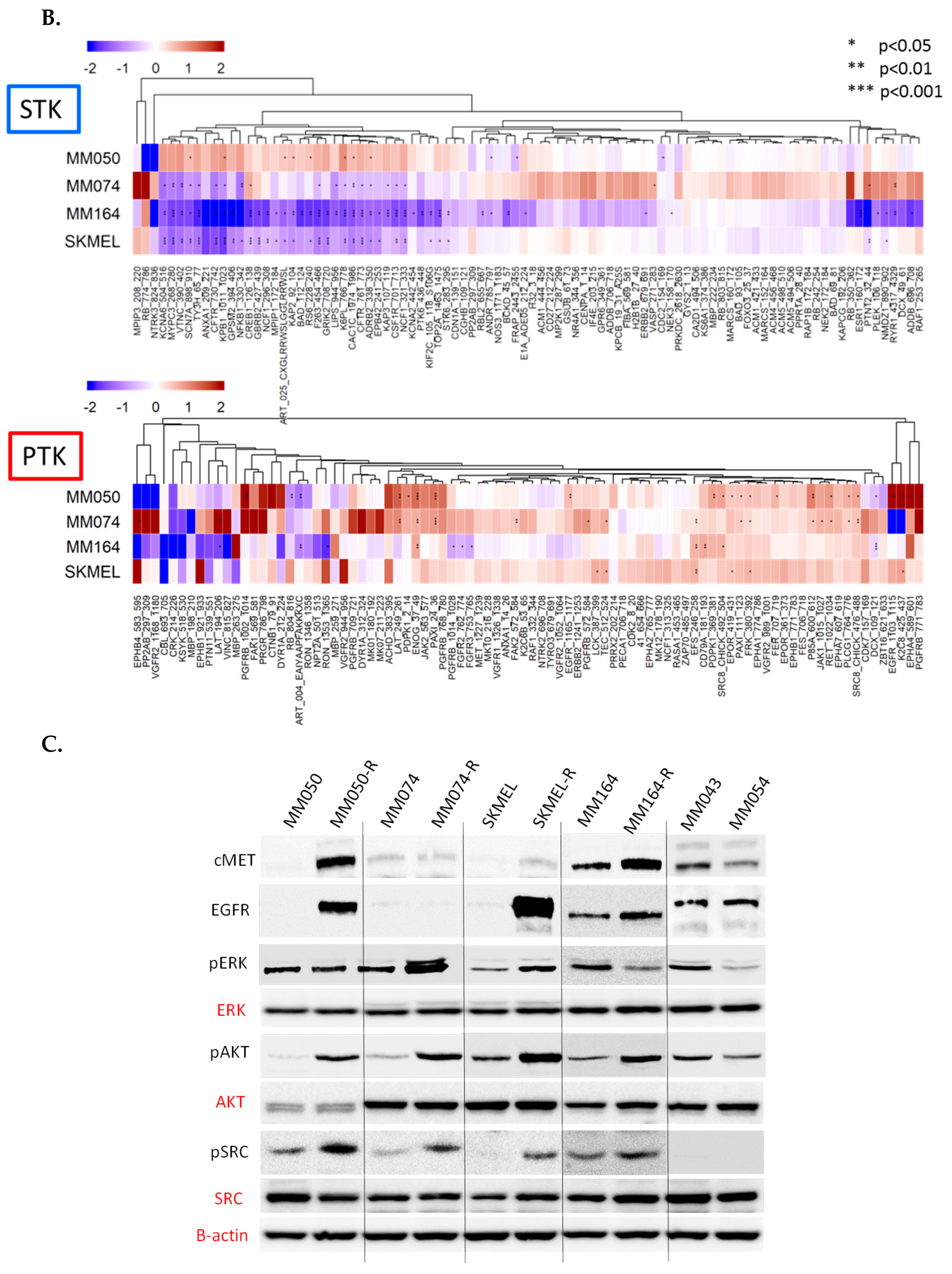 Cancers 12 00512 g003b Cancers 12 00512 g003b