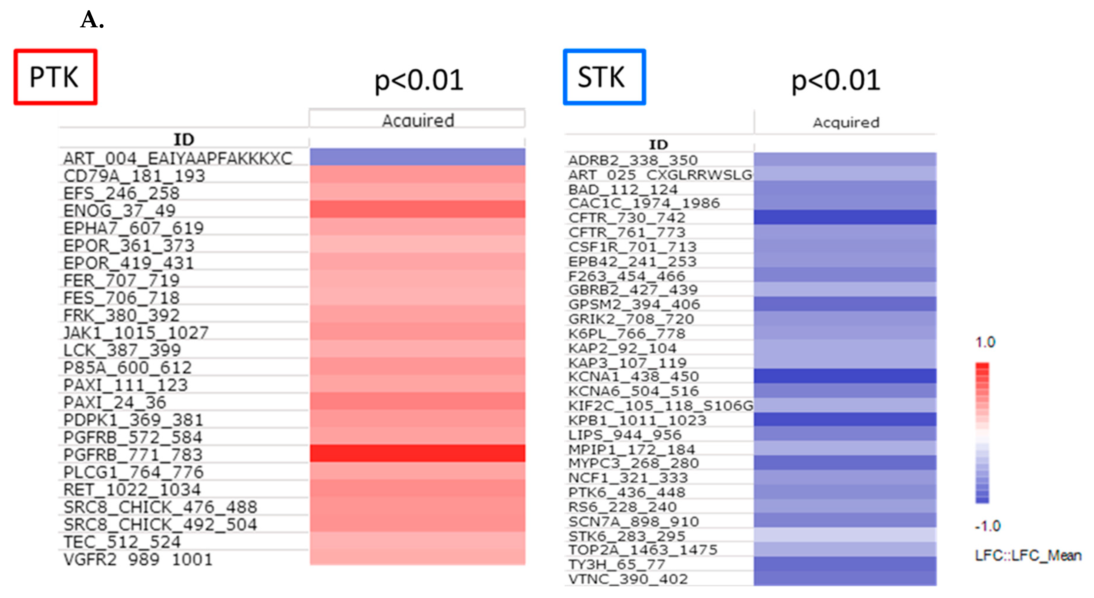 Cancers 12 00512 g004a Cancers 12 00512 g004a