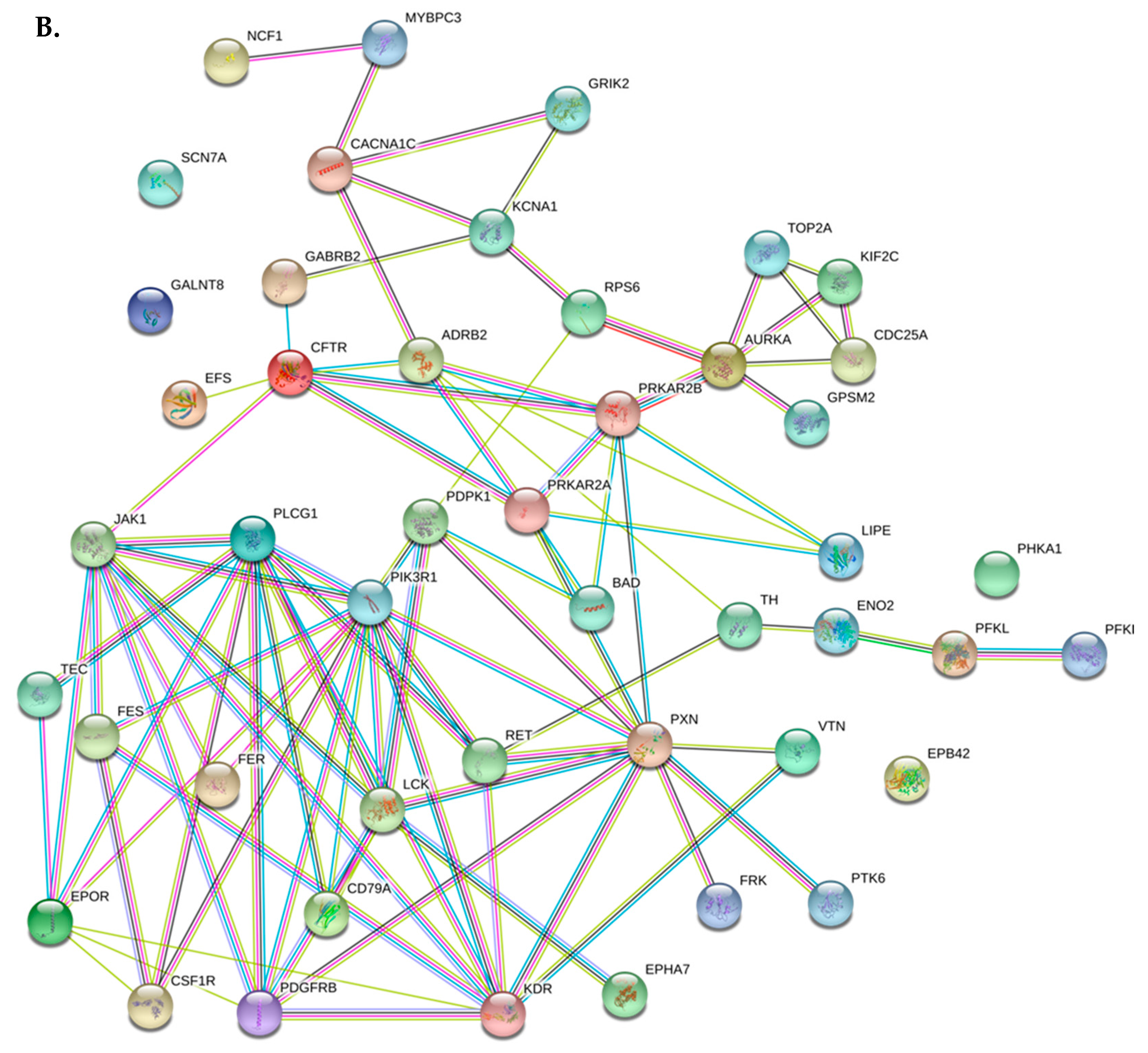 Cancers 12 00512 g004b Cancers 12 00512 g004b