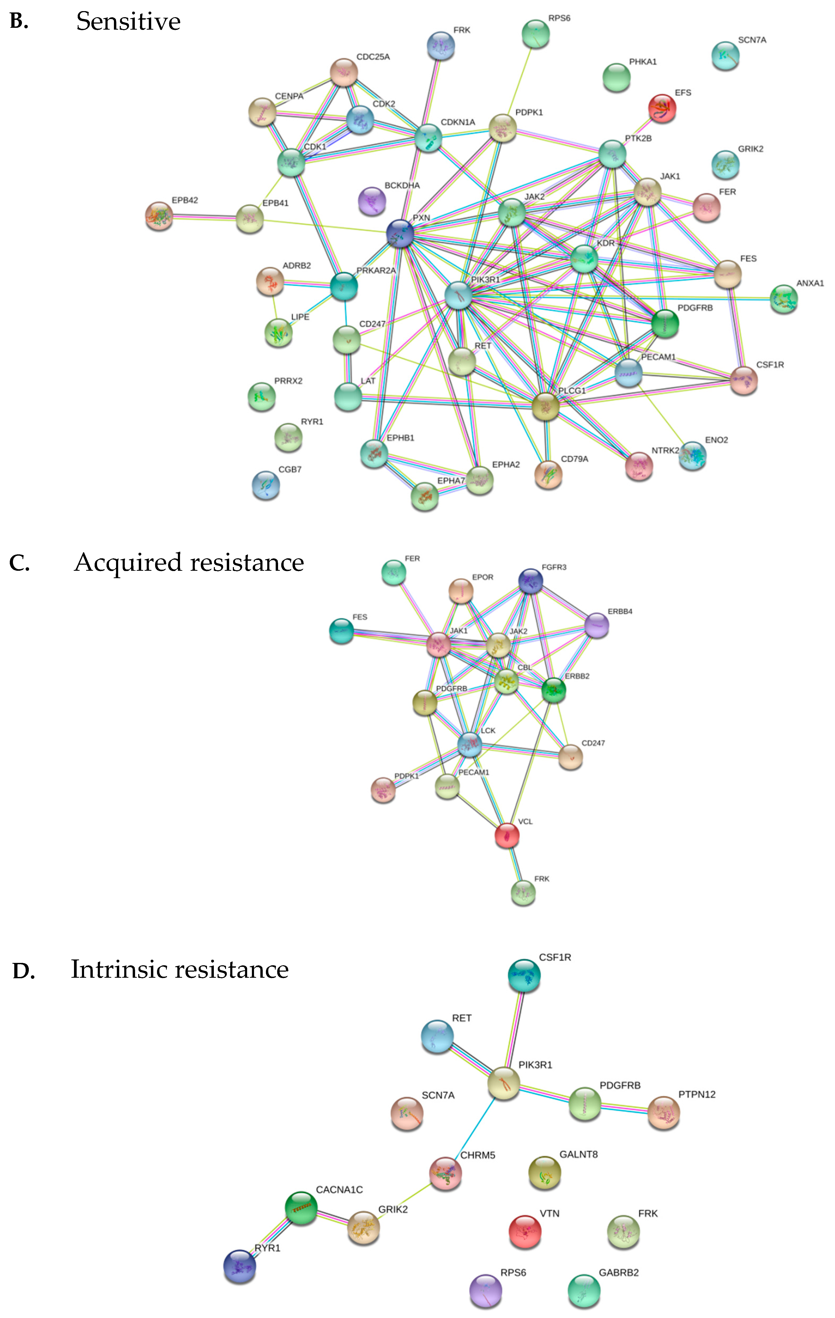 Cancers 12 00512 g005b Cancers 12 00512 g005b