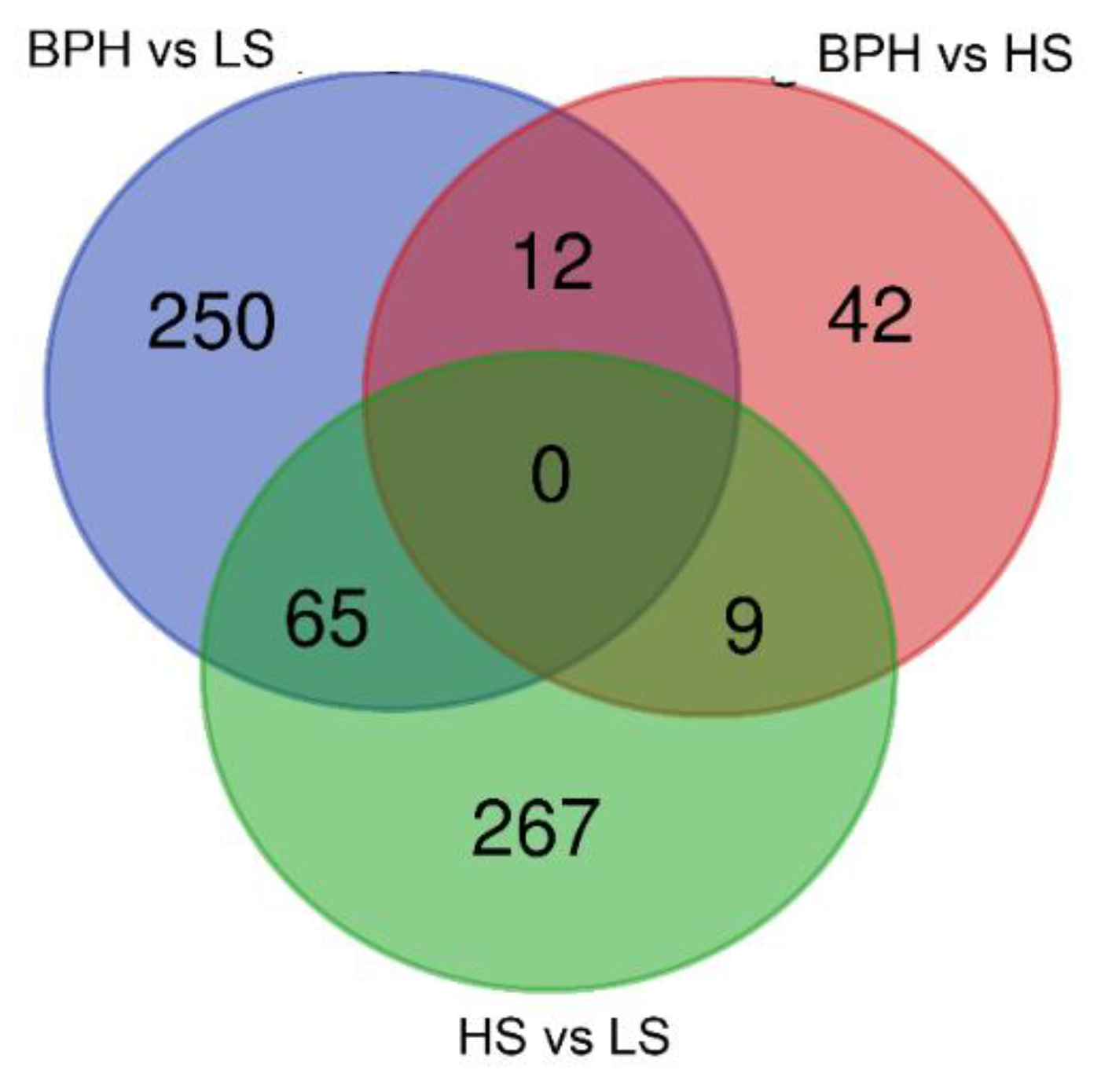 Cancers 12 00513 g001 Cancers 12 00513 g001