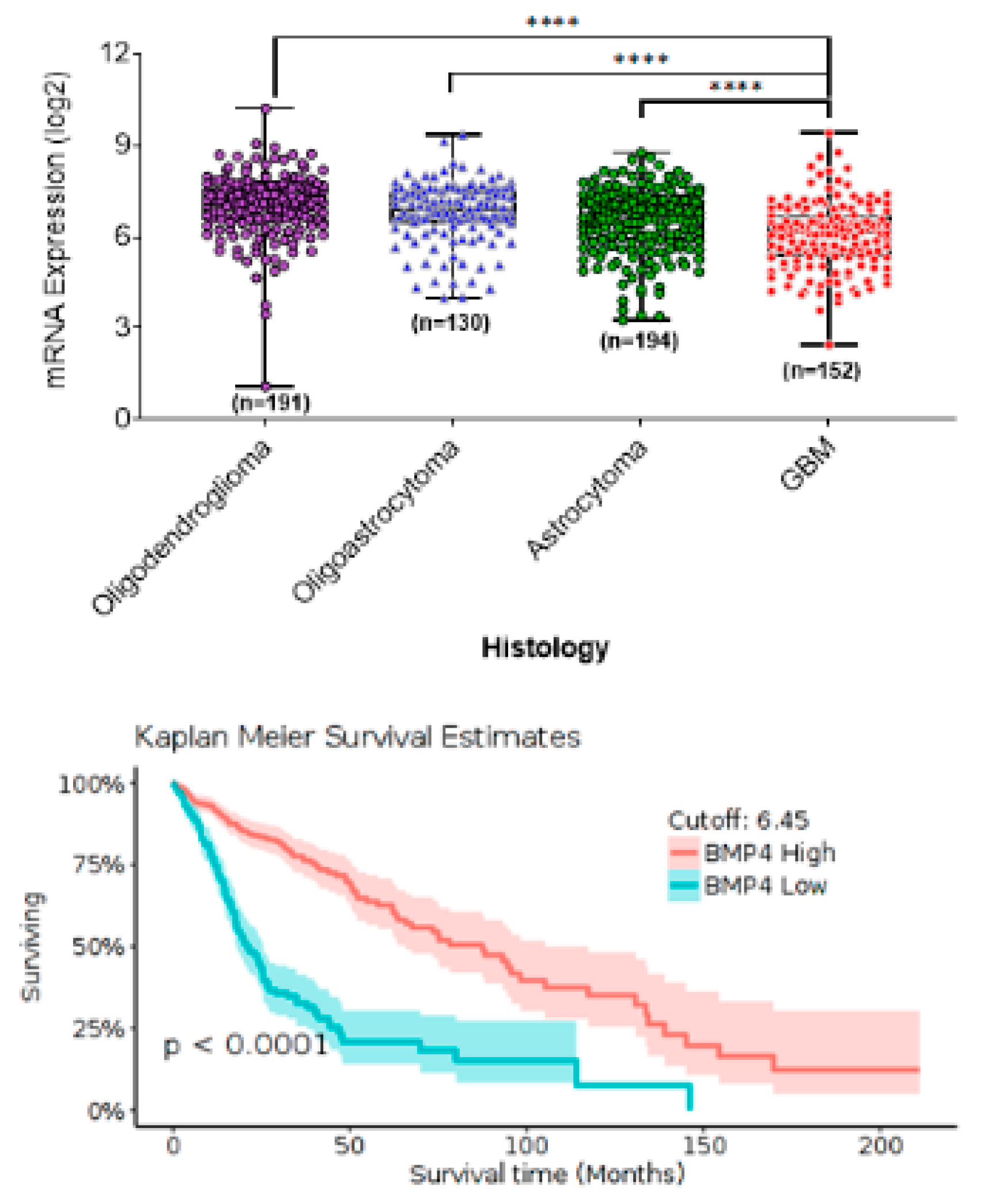 Cancers 12 00516 g001 Cancers 12 00516 g001