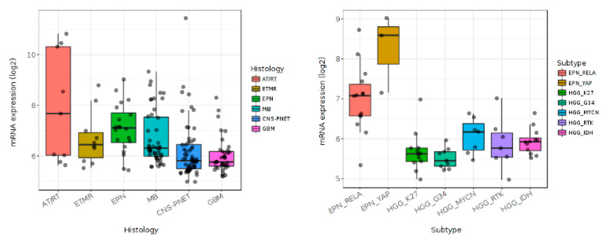 Cancers 12 00516 g003 Cancers 12 00516 g003