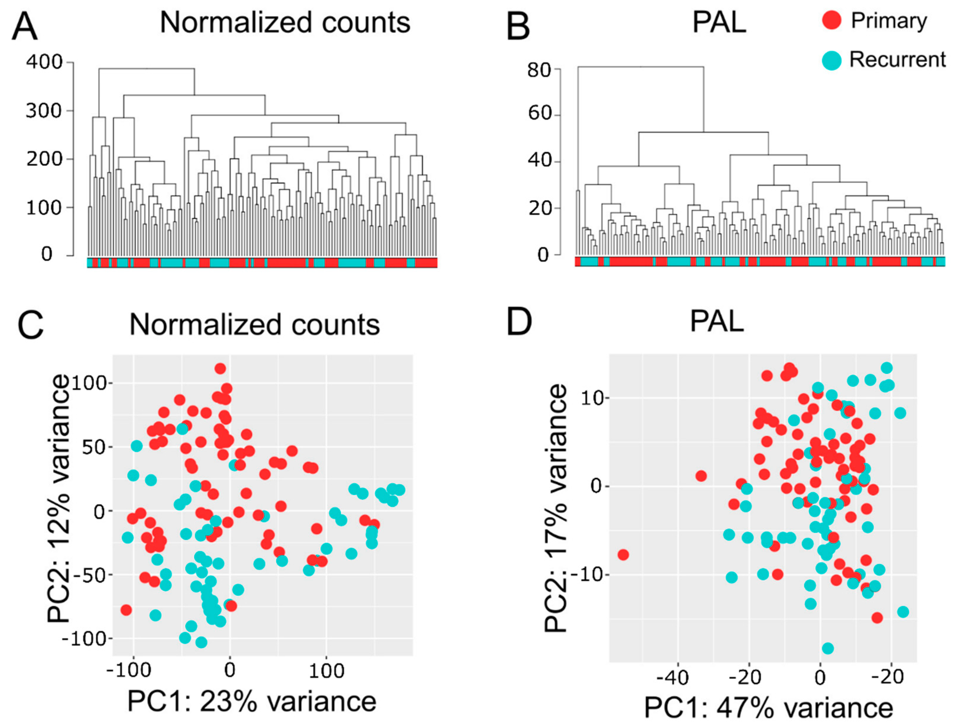 Cancers 12 00520 g002