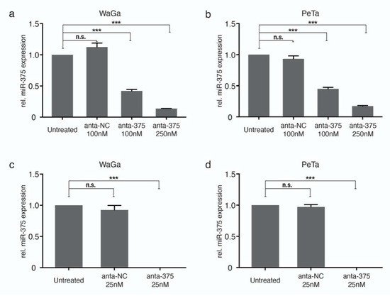 Highly Expressed miR-375 is not an Intracellular Oncogene in