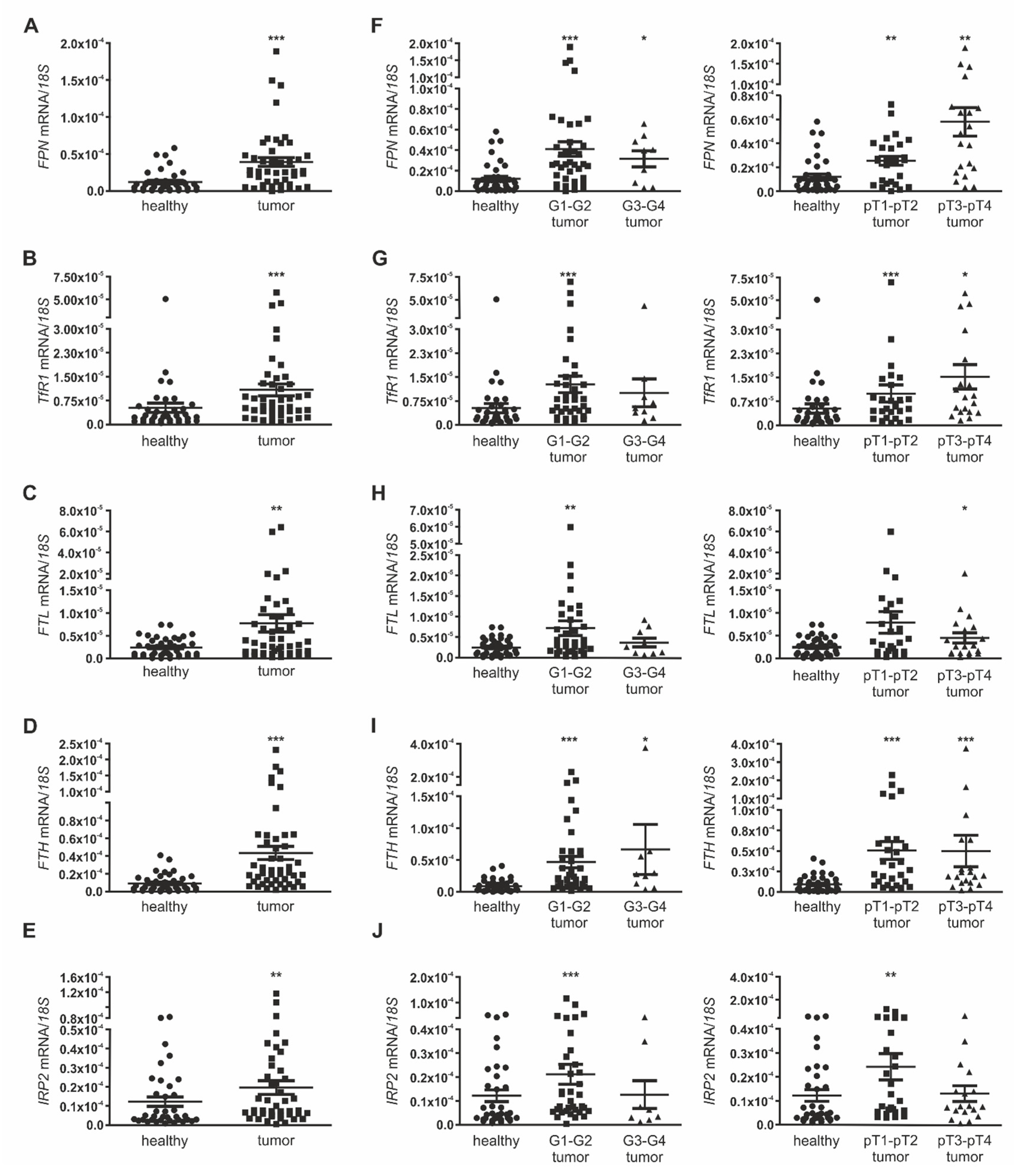 Cancers 12 00530 g001