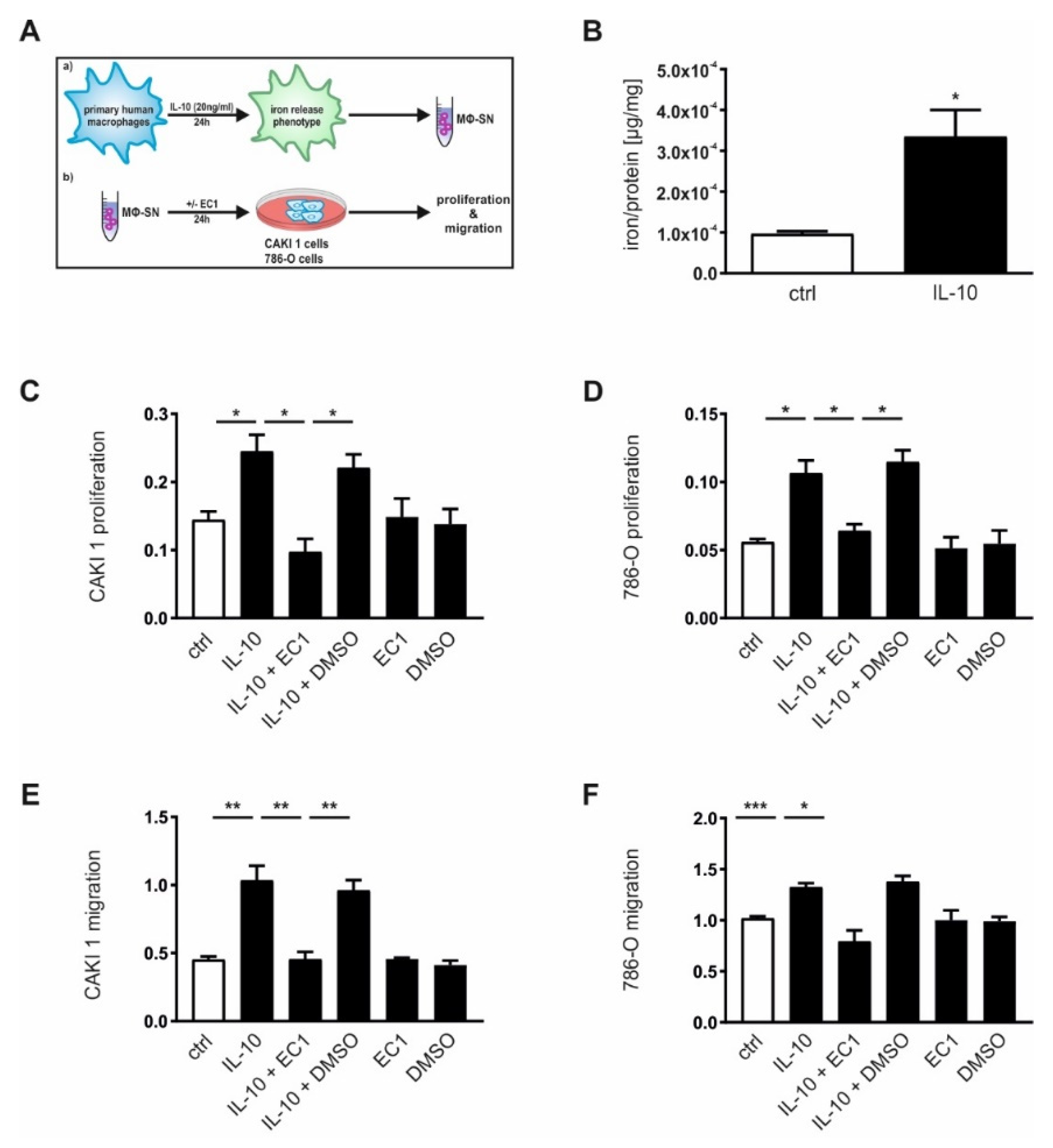 Cancers 12 00530 g005