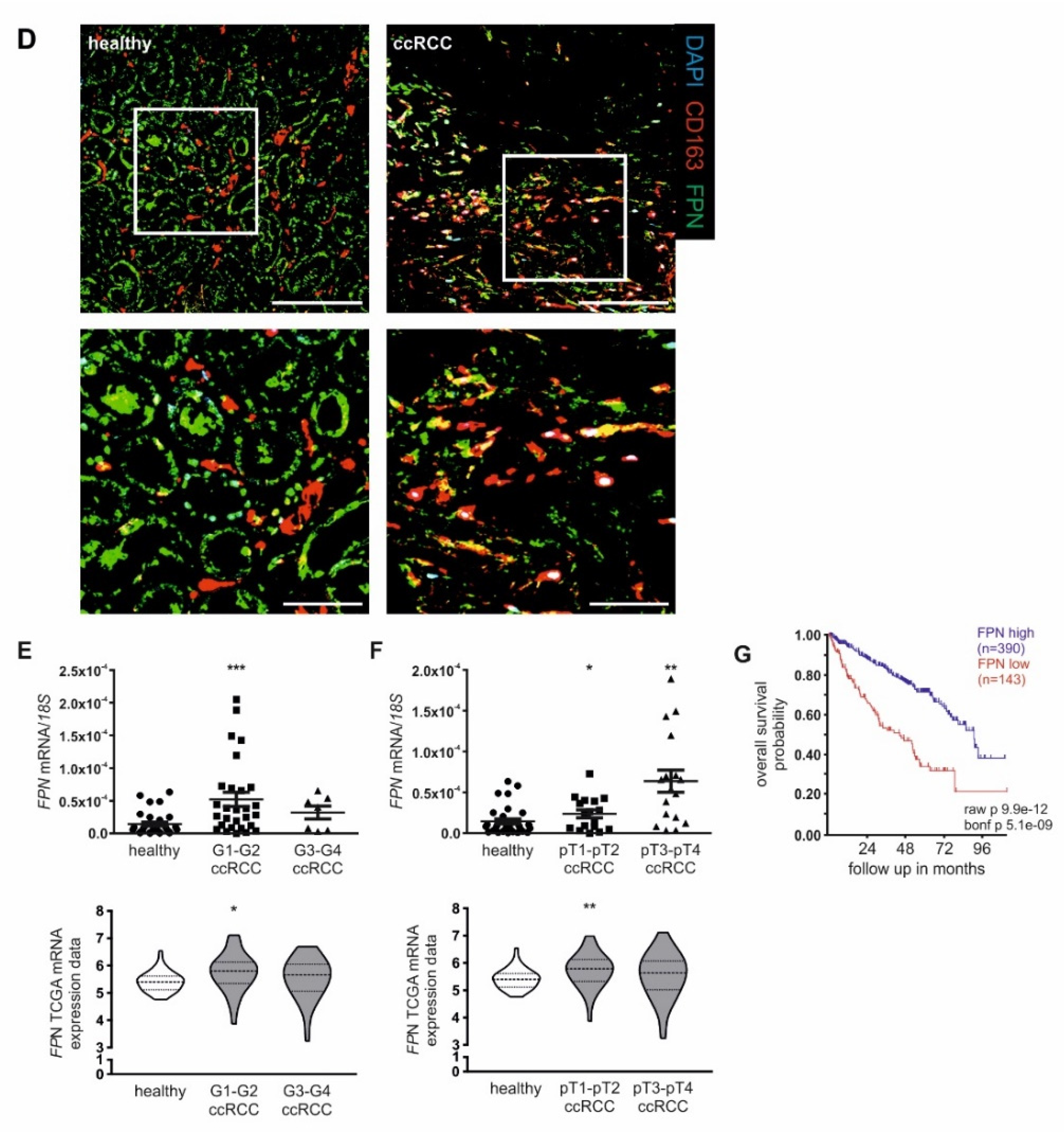 Cancers 12 00530 g006b