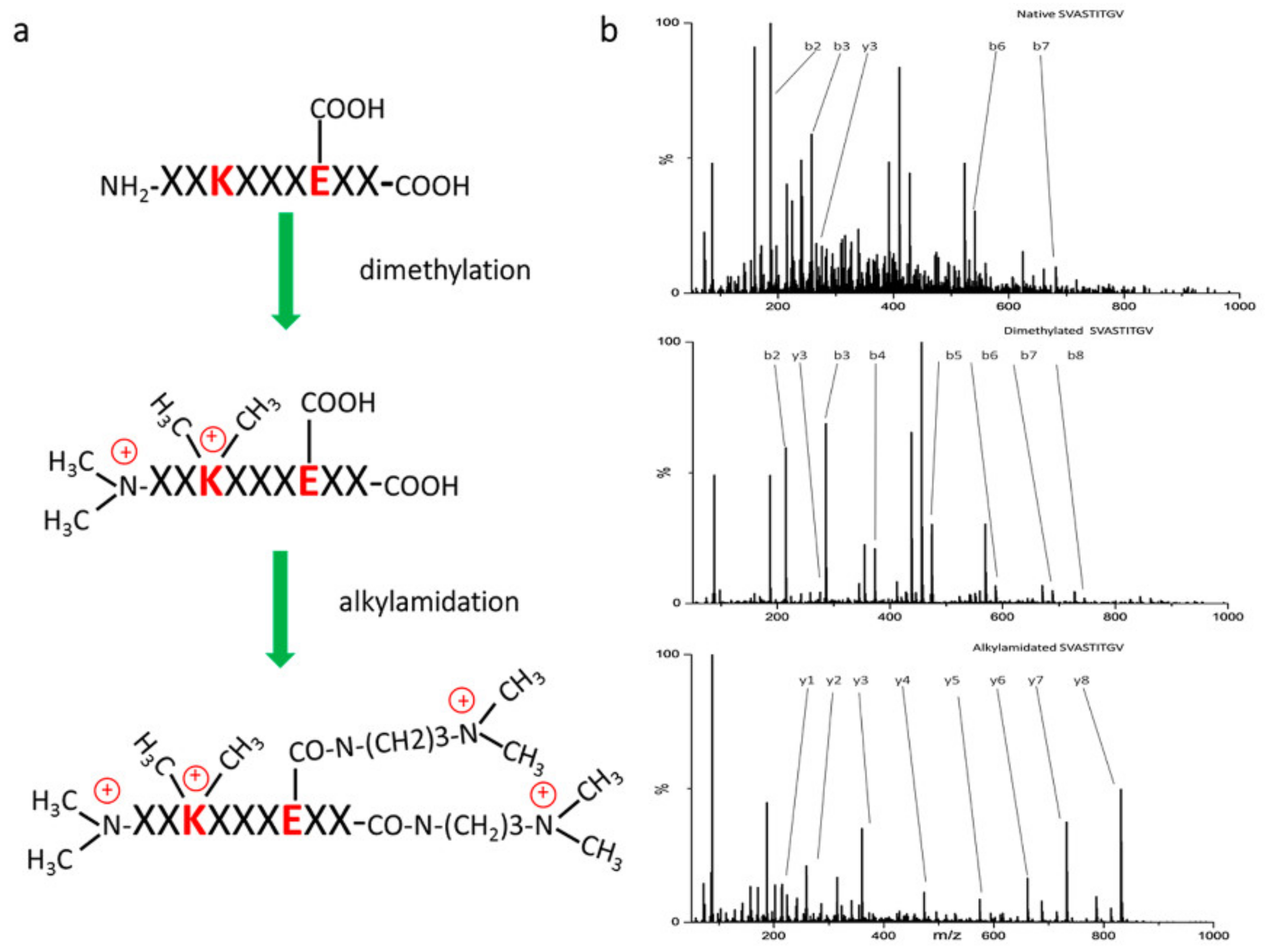 Cancers 12 00535 g002