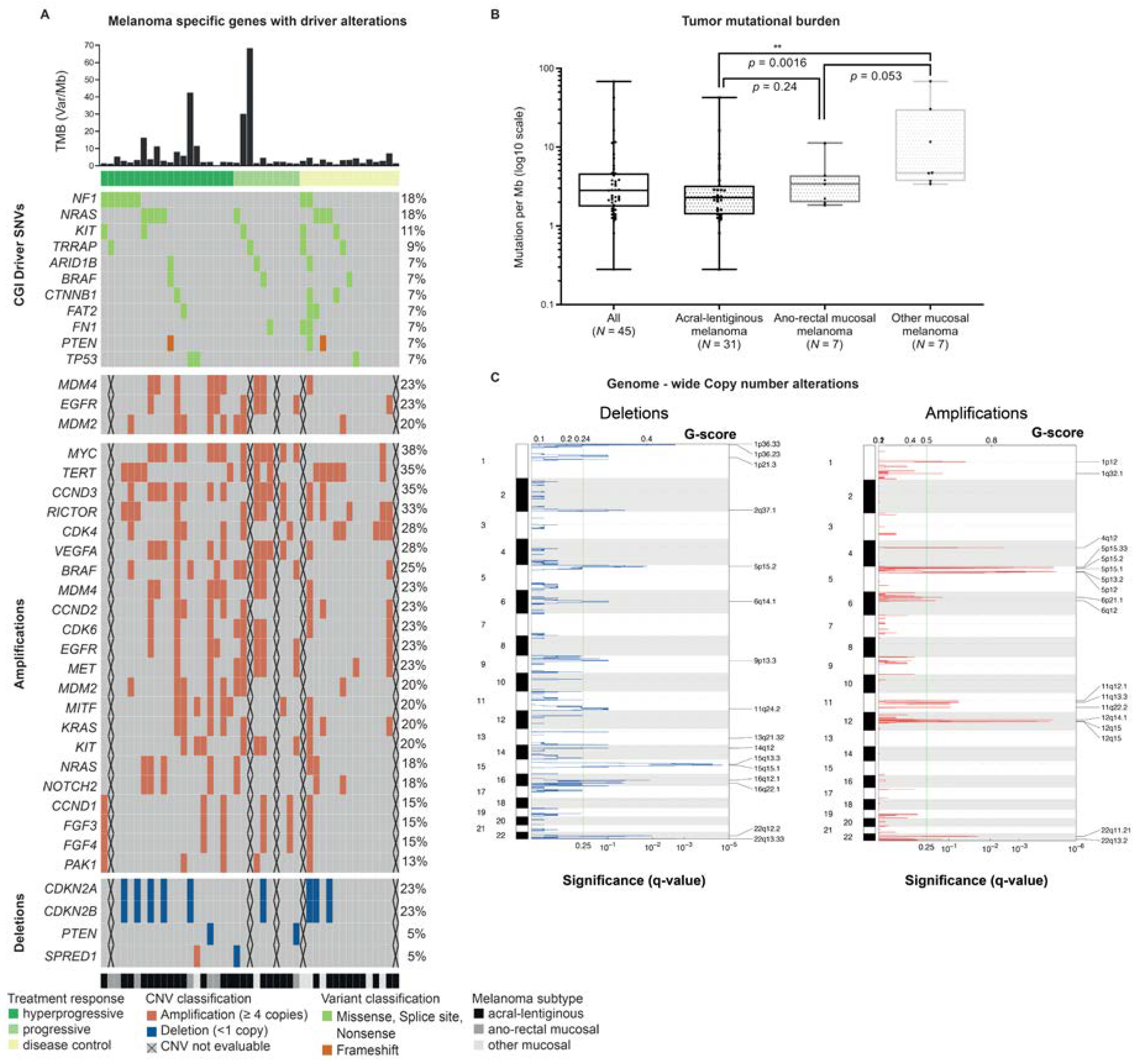 Cancers 12 00540 g002 Cancers 12 00540 g002