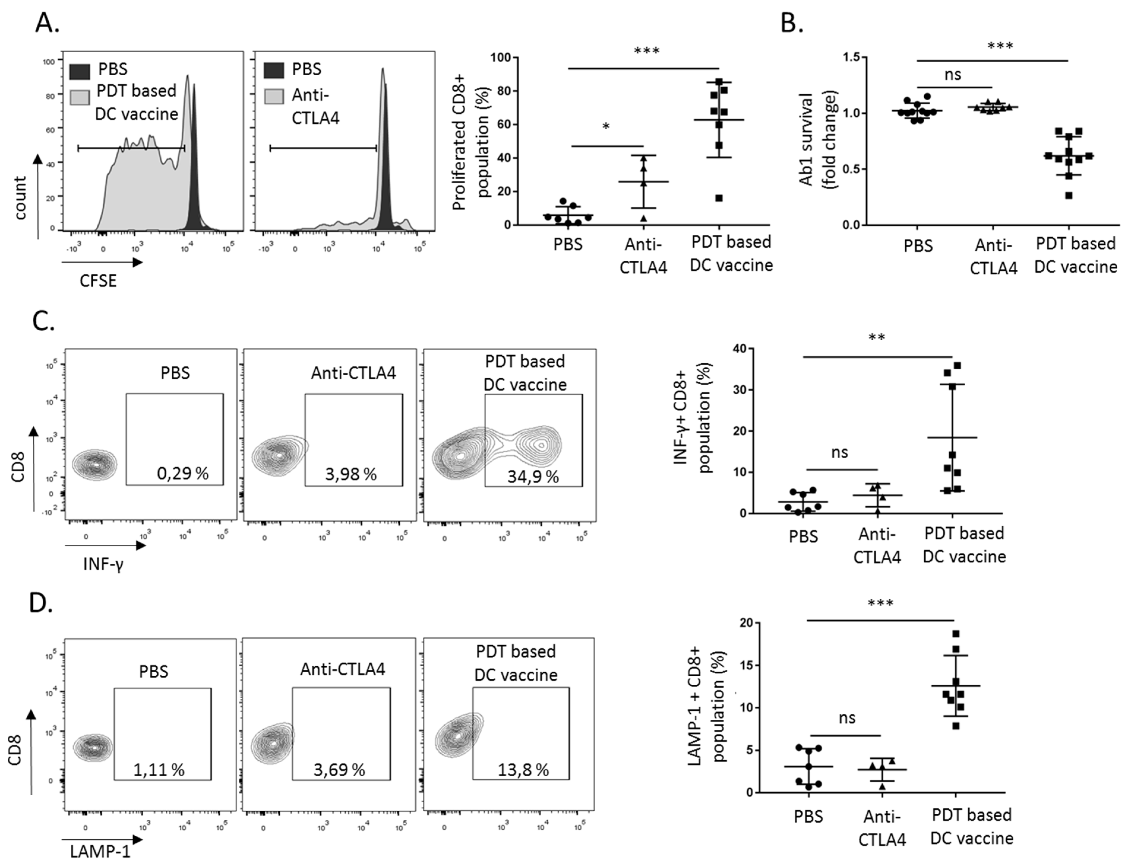 Cancers 12 00545 g003 Cancers 12 00545 g003