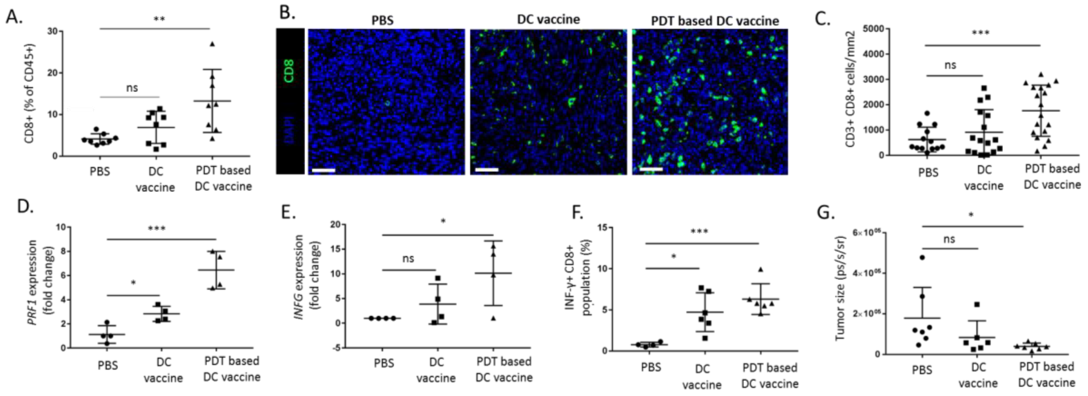 Cancers 12 00545 g005 Cancers 12 00545 g005