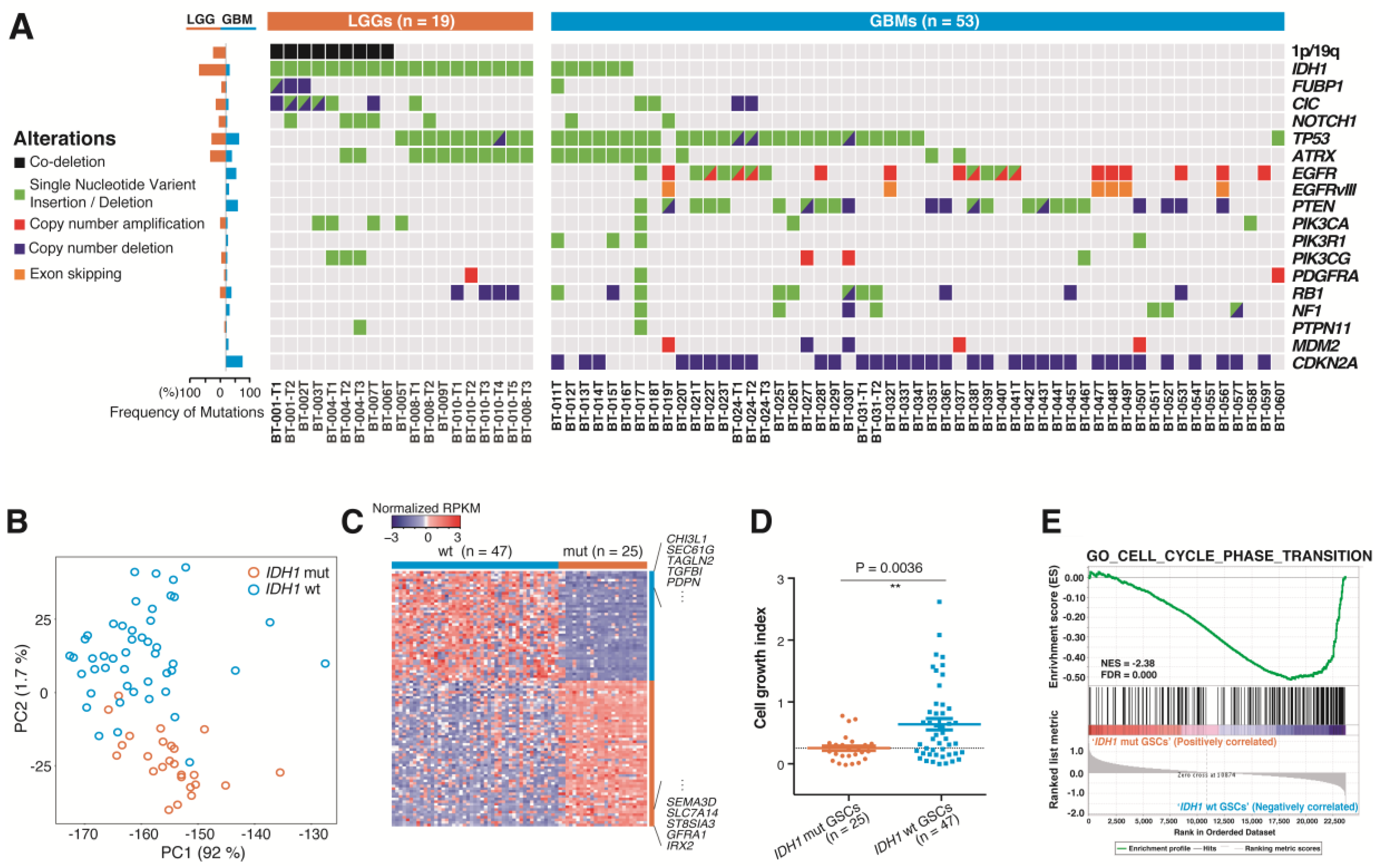 Cancers 12 00549 g002 Cancers 12 00549 g002