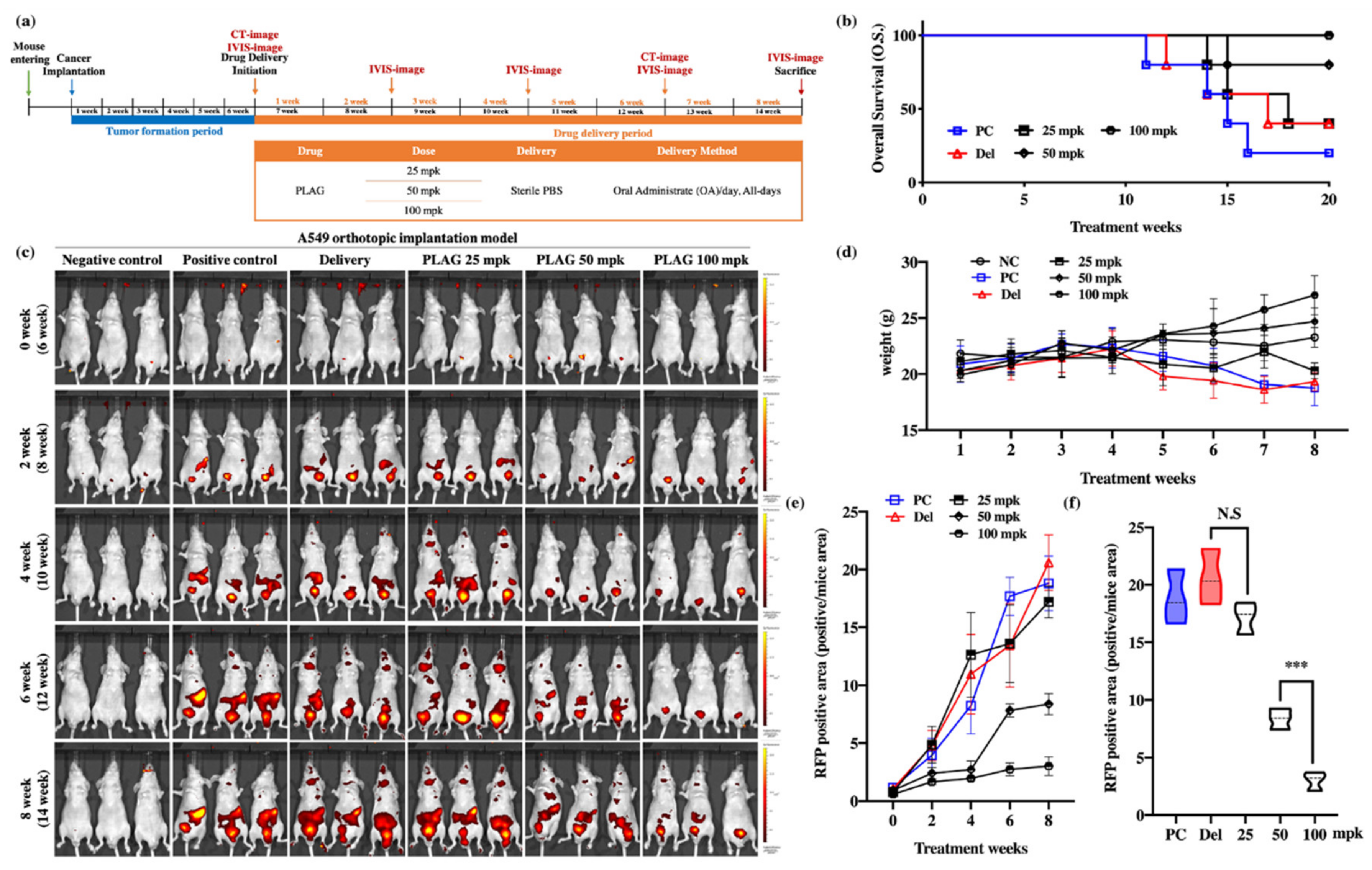 Cancers 12 00560 g001