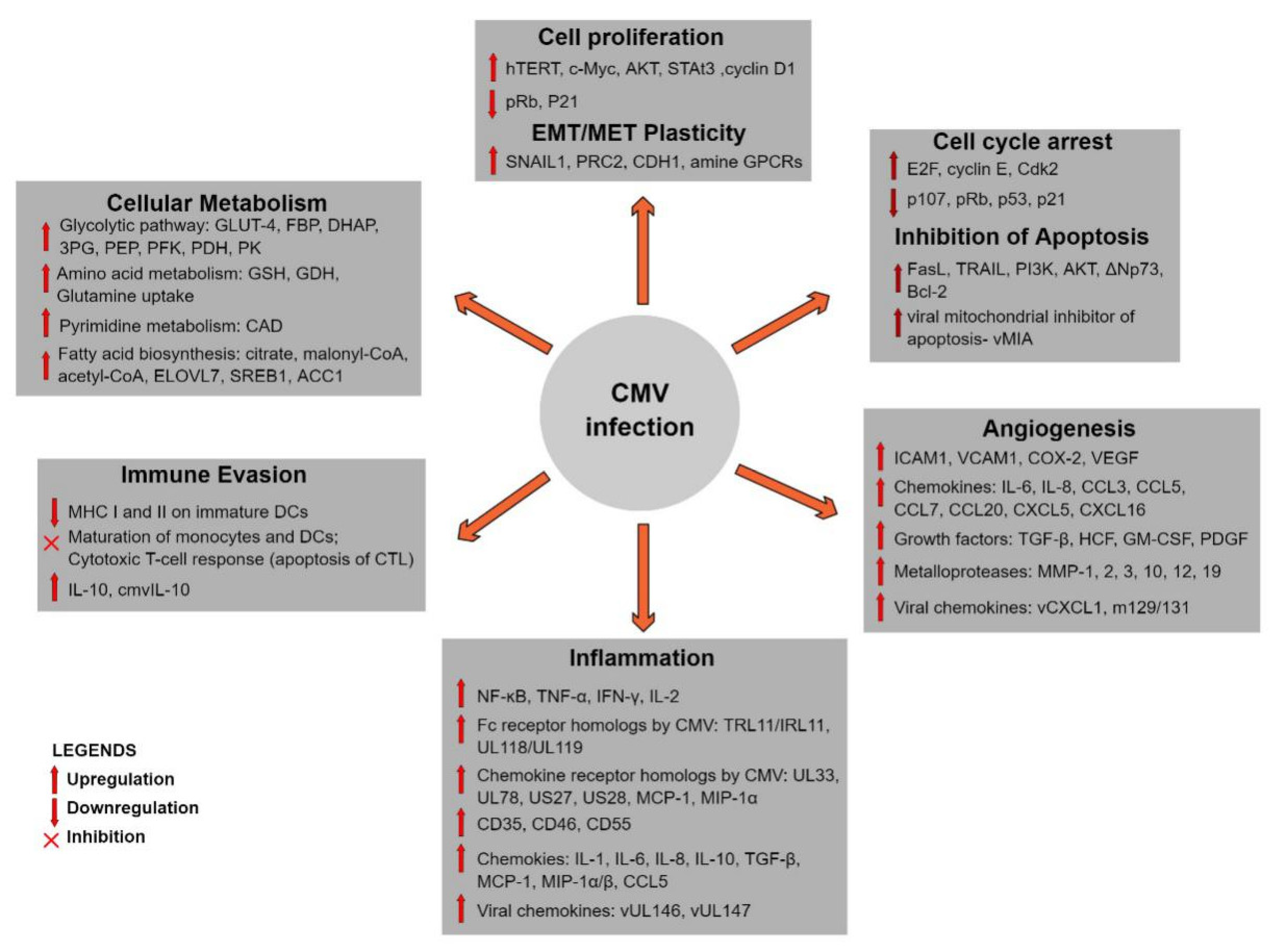 Cancers 12 00561 g002