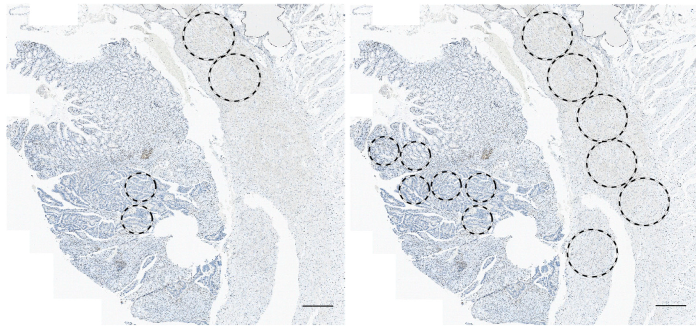 Cancers 12 00563 g002