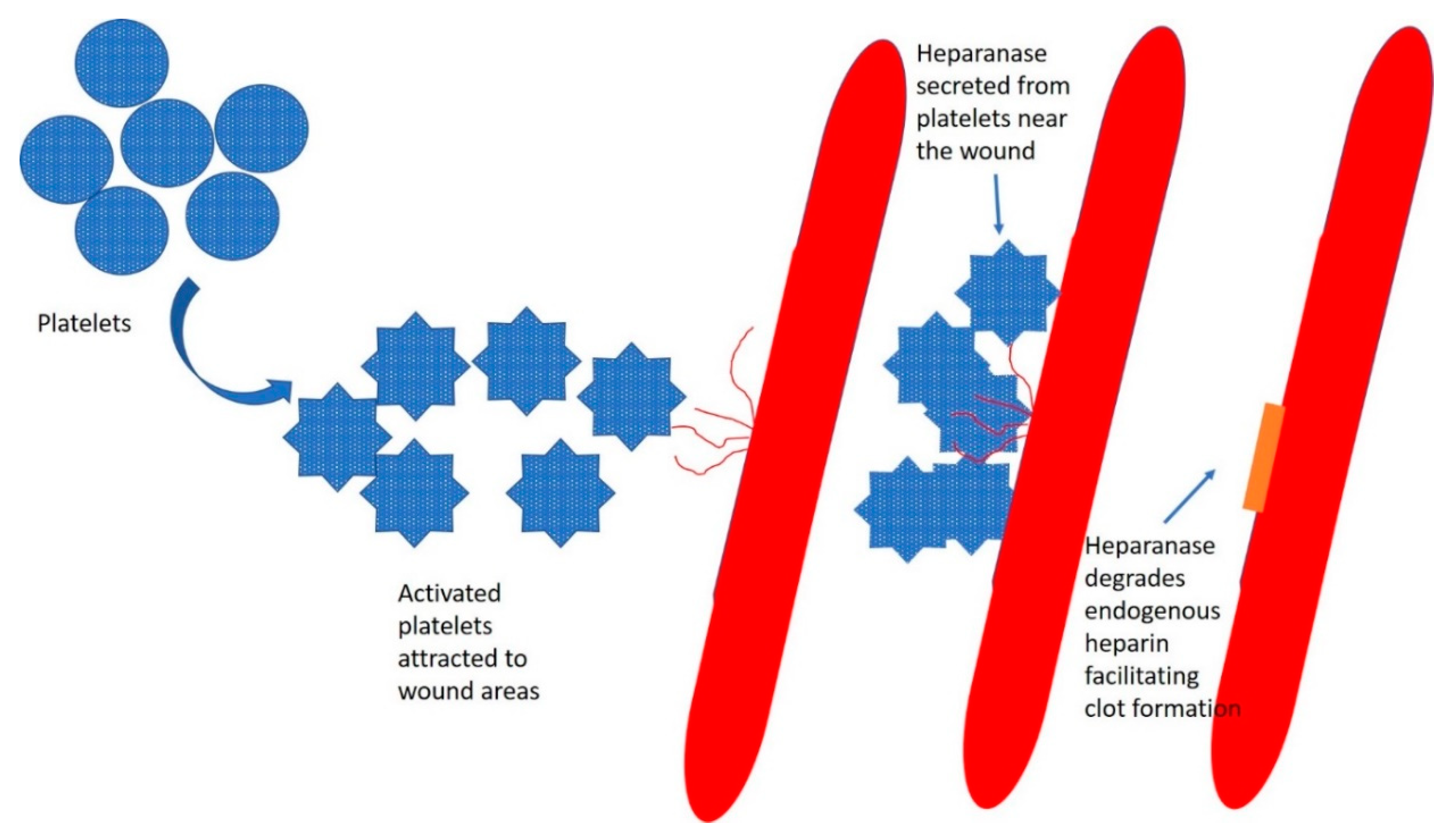 Cancers 12 00566 g002