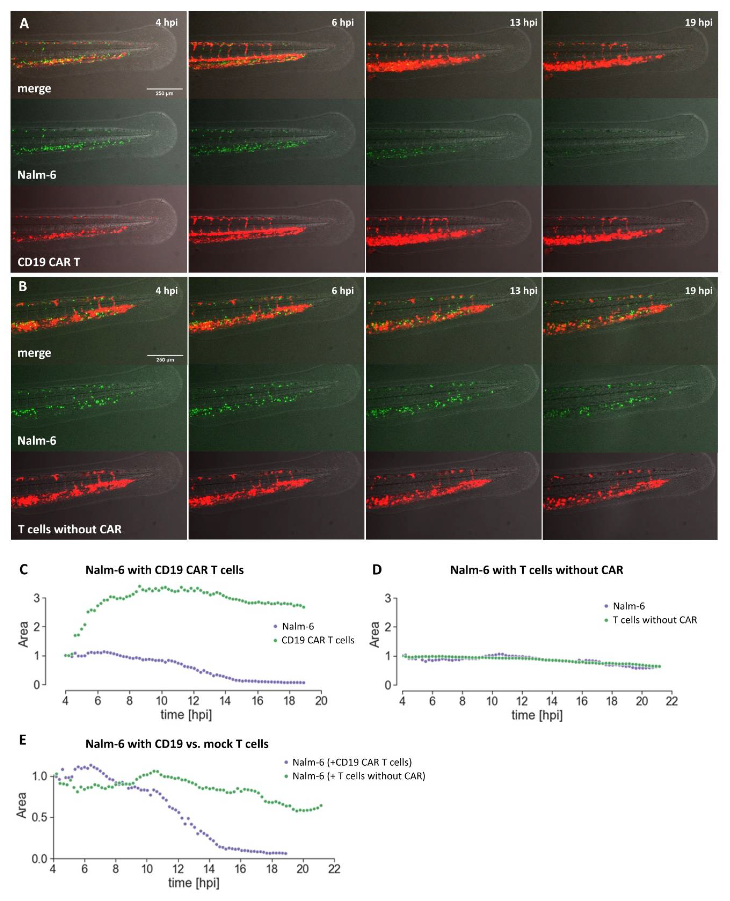 Cancers 12 00567 g004