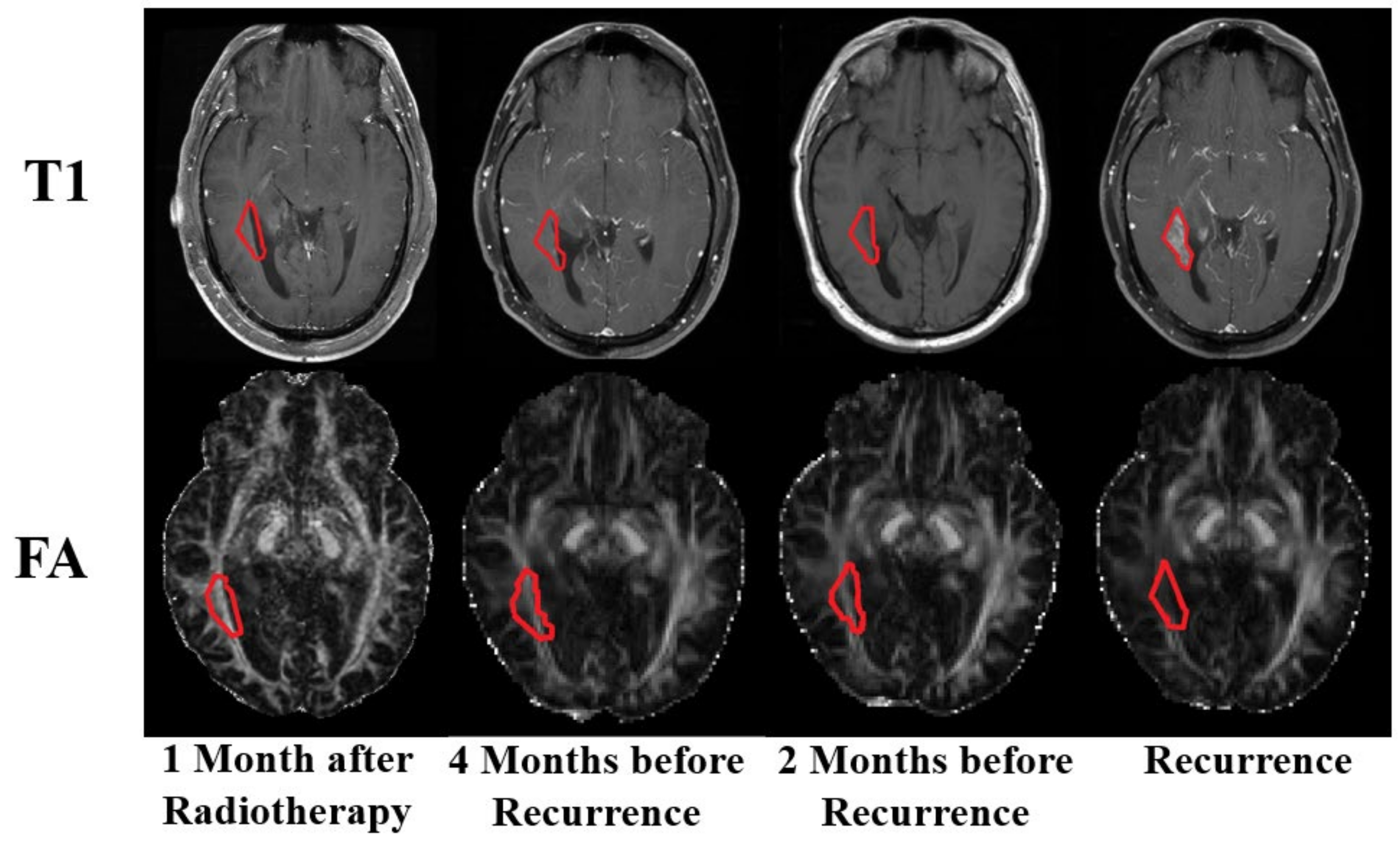 Cancers 12 00568 g003