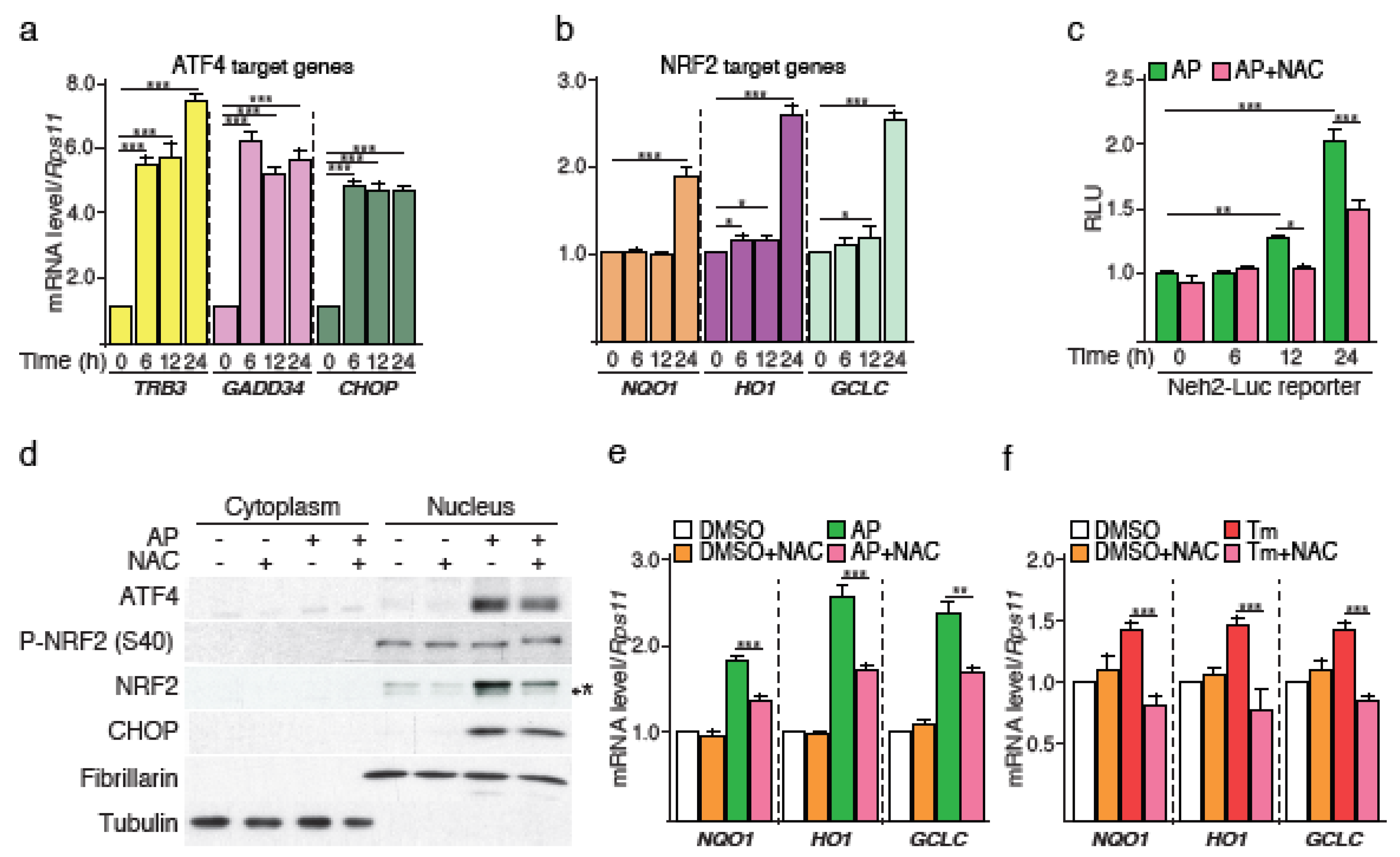Cancers 12 00569 g002
