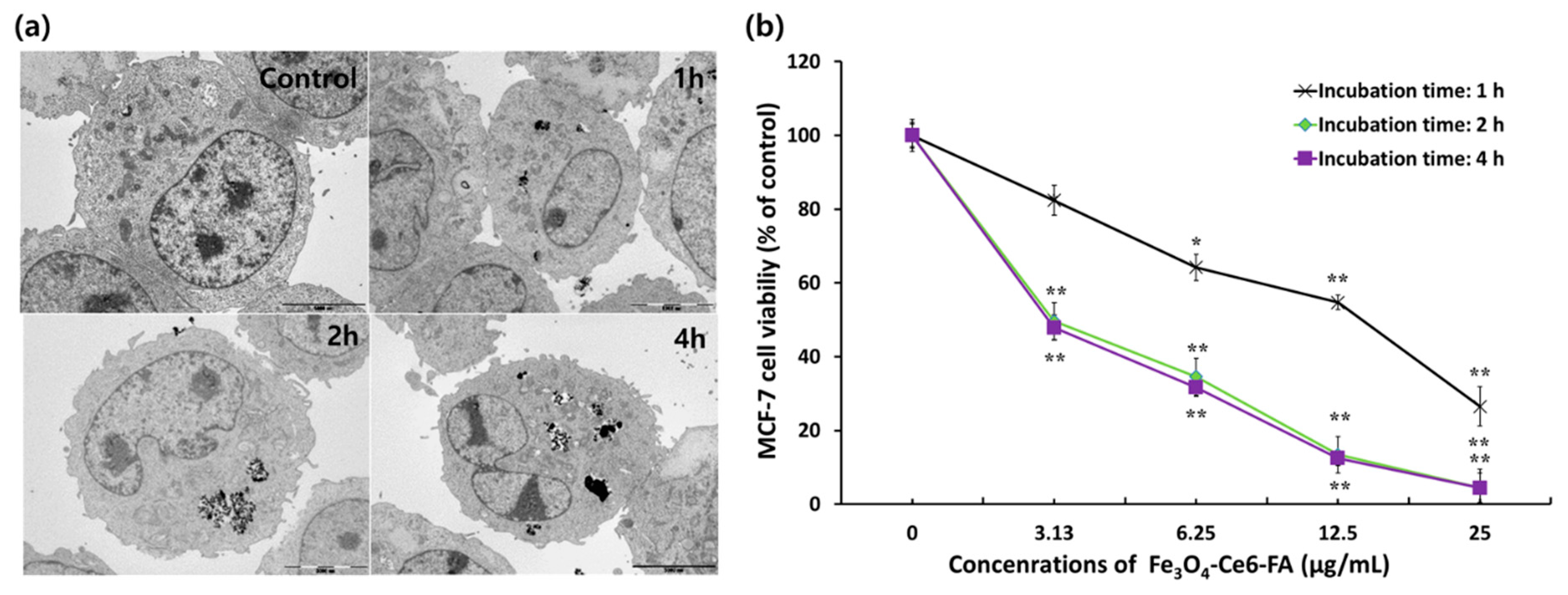 Cancers 12 00571 g002 Cancers 12 00571 g002