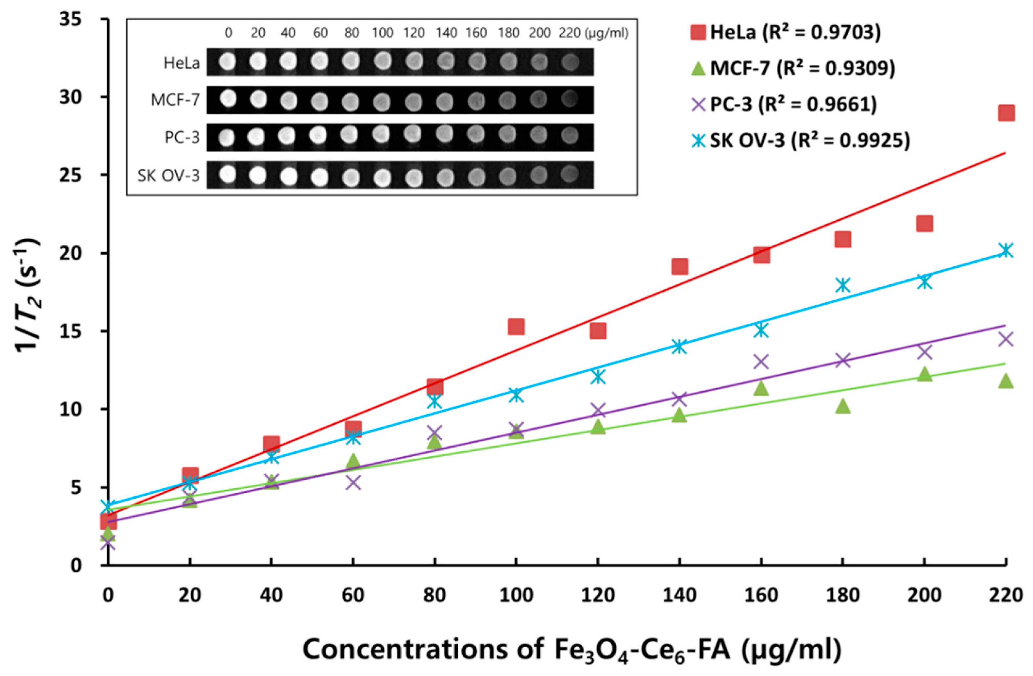 Cancers 12 00571 g003 Cancers 12 00571 g003