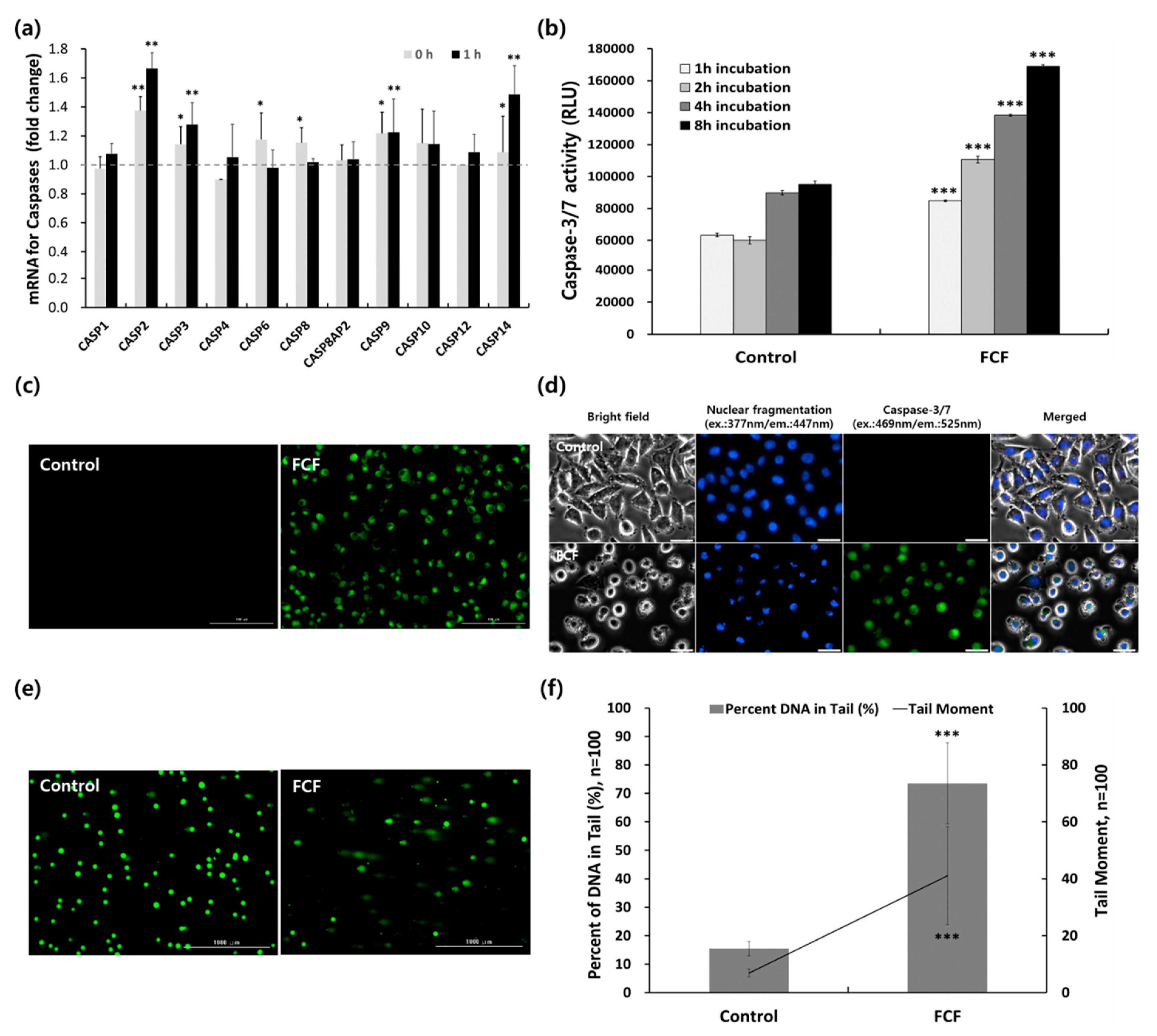 Cancers 12 00571 g007 Cancers 12 00571 g007