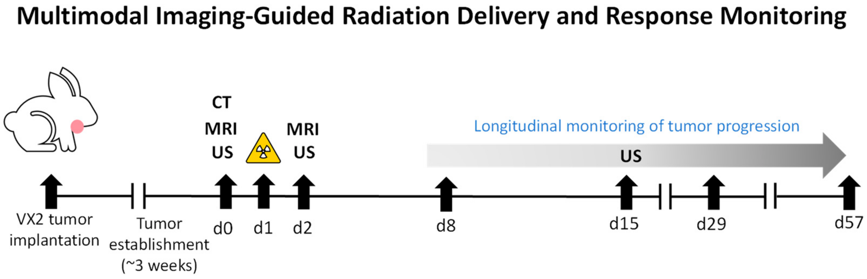 Cancers 12 00572 g001