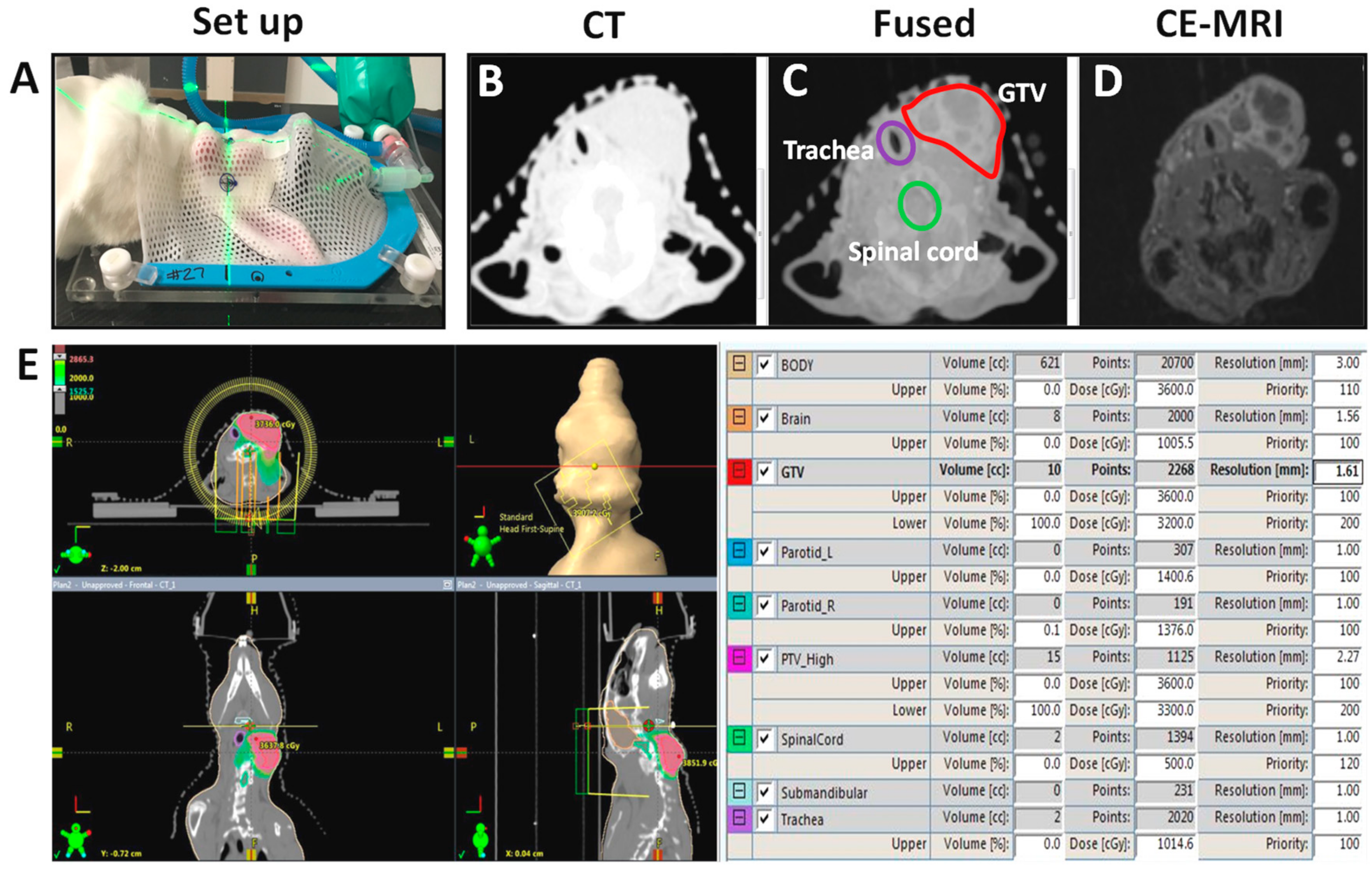 Cancers 12 00572 g002