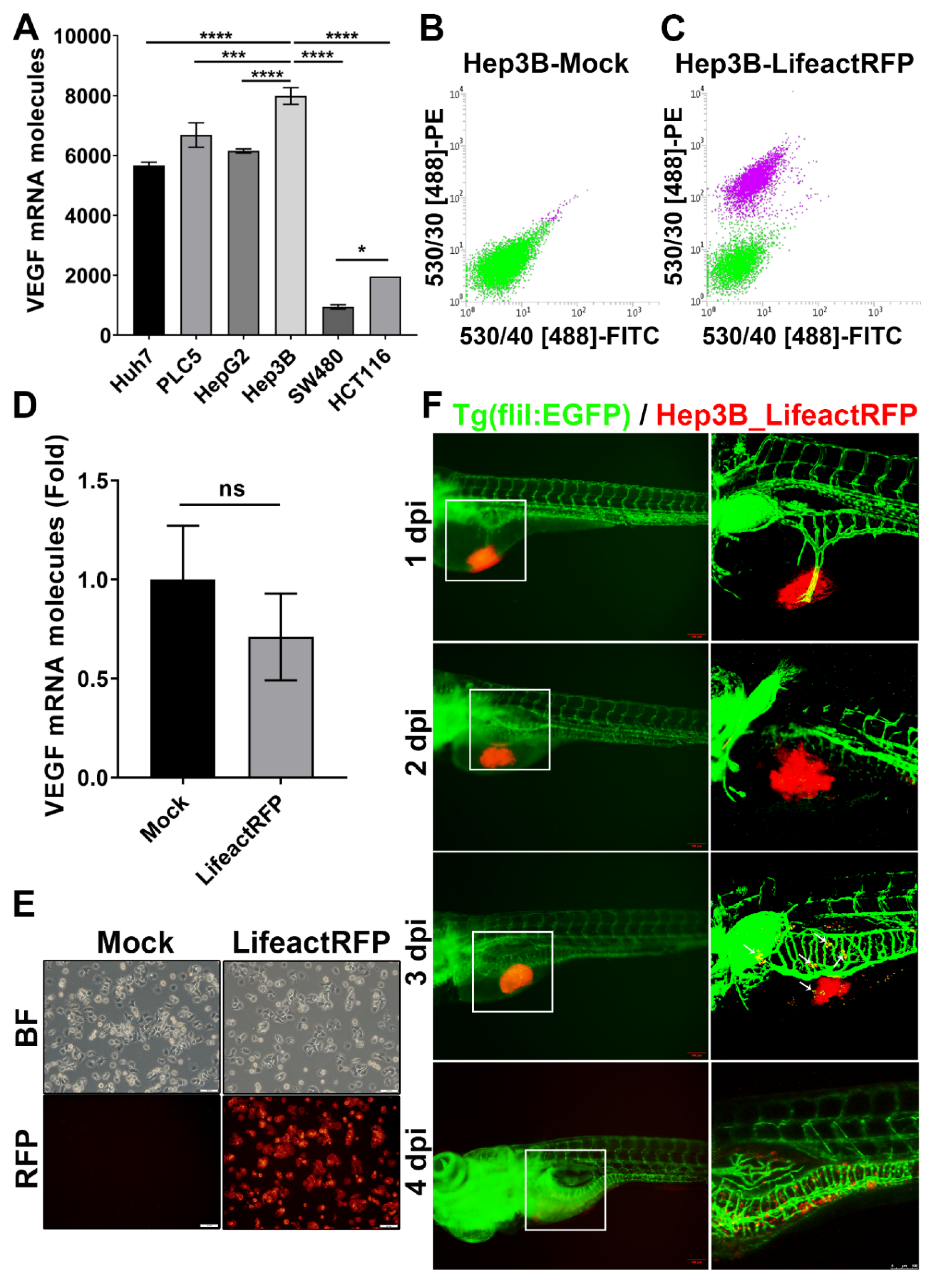 Cancers 12 00575 g001
