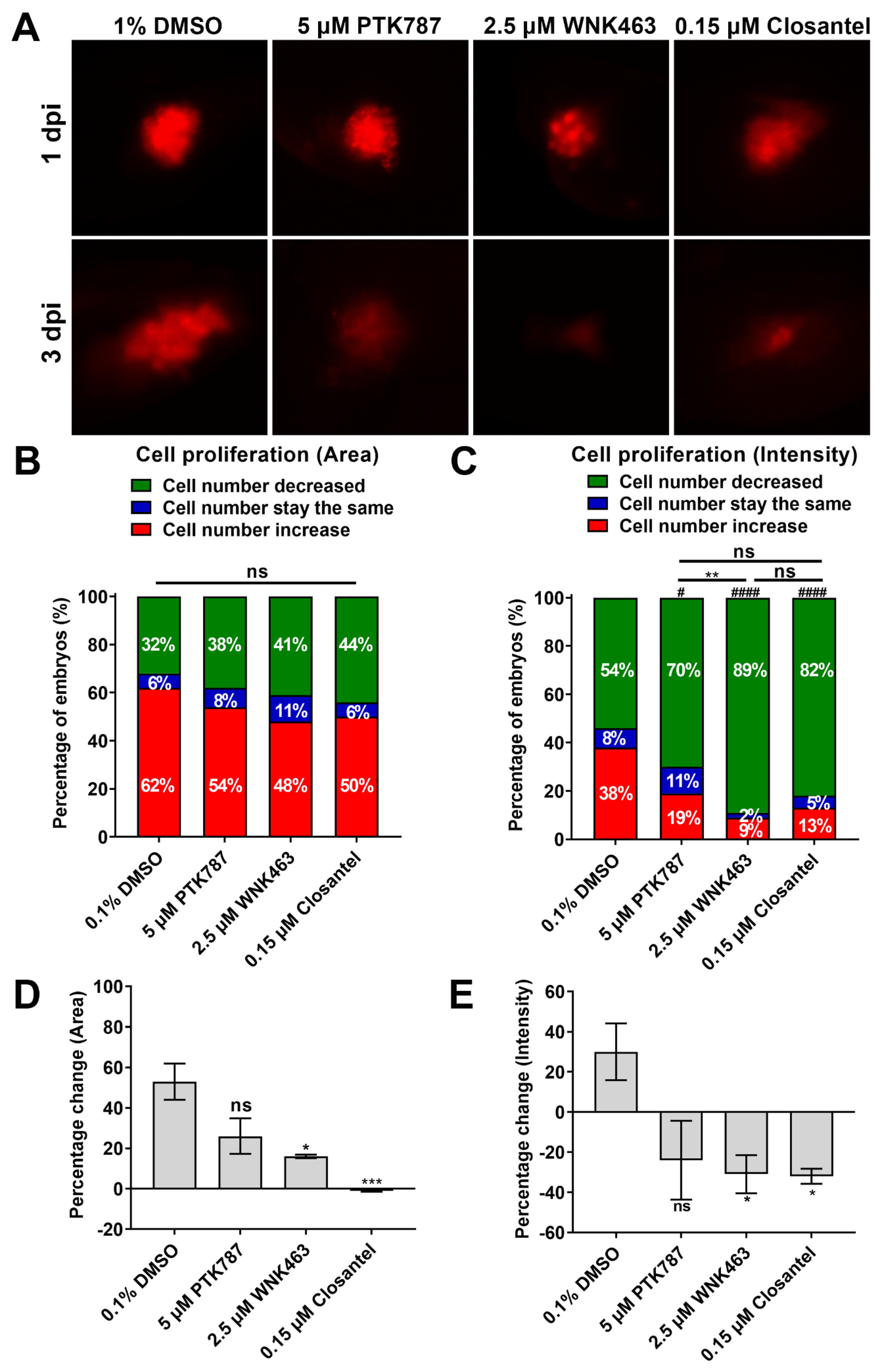 Cancers 12 00575 g003