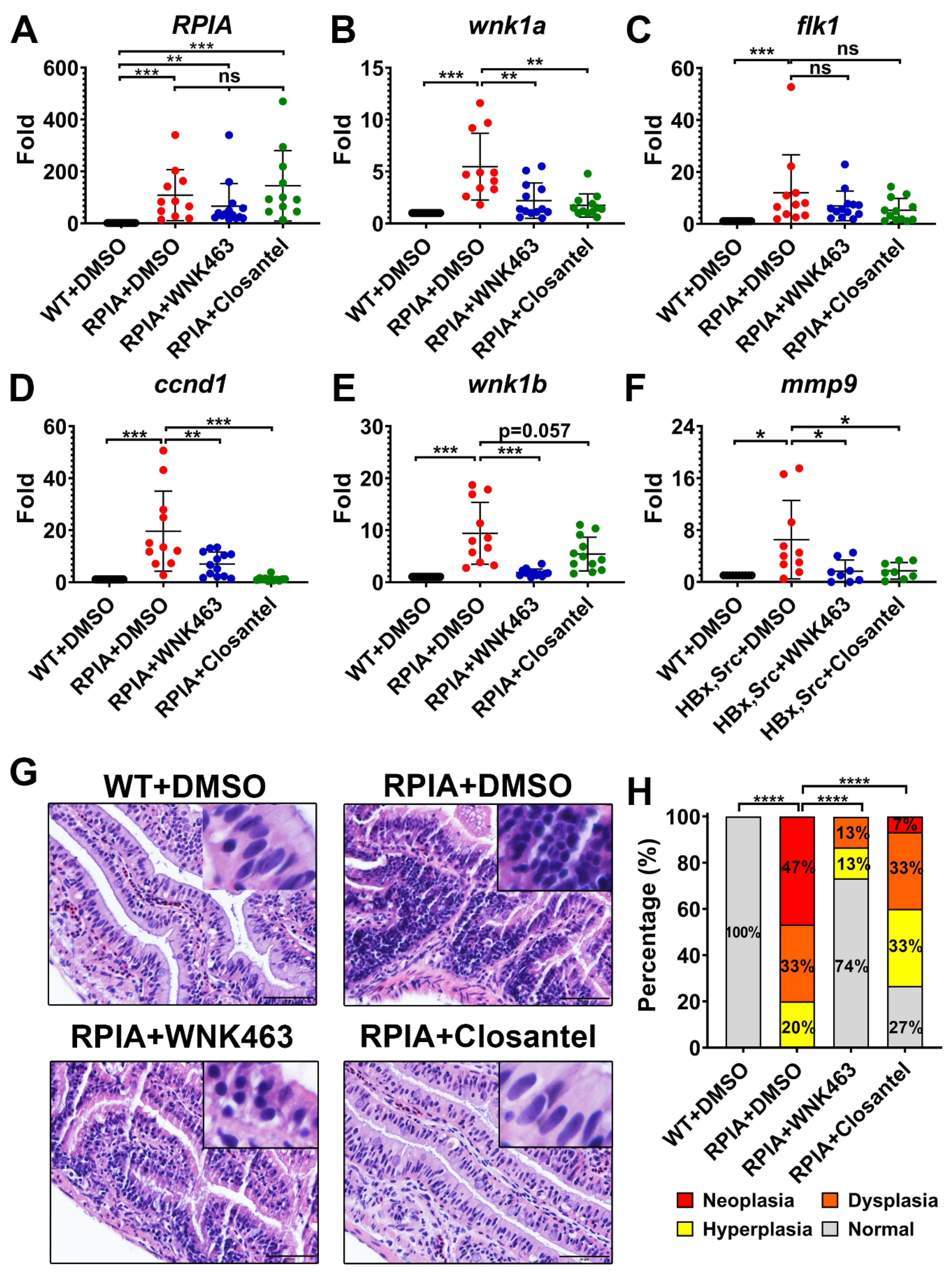 Cancers 12 00575 g004