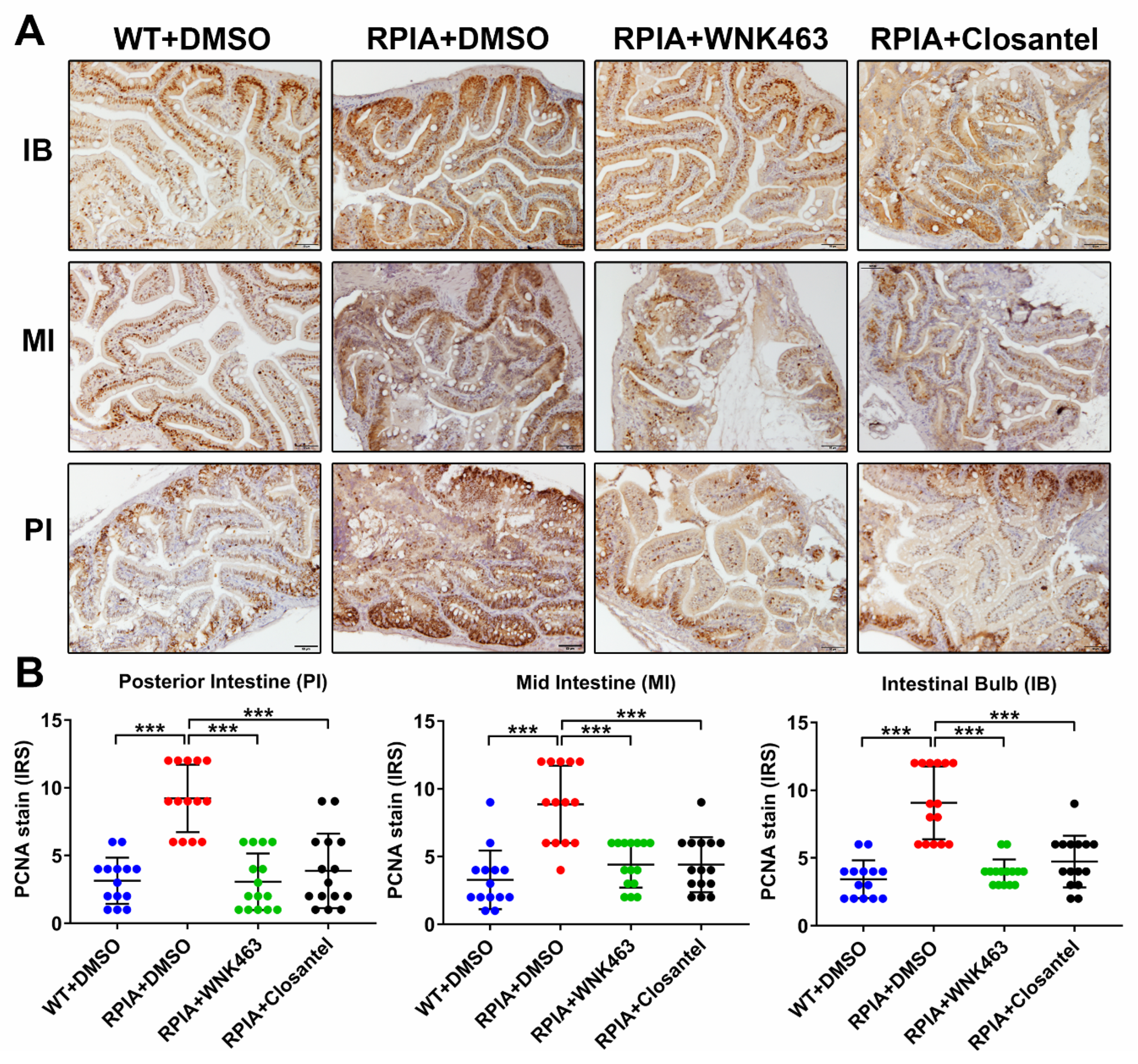Cancers 12 00575 g005