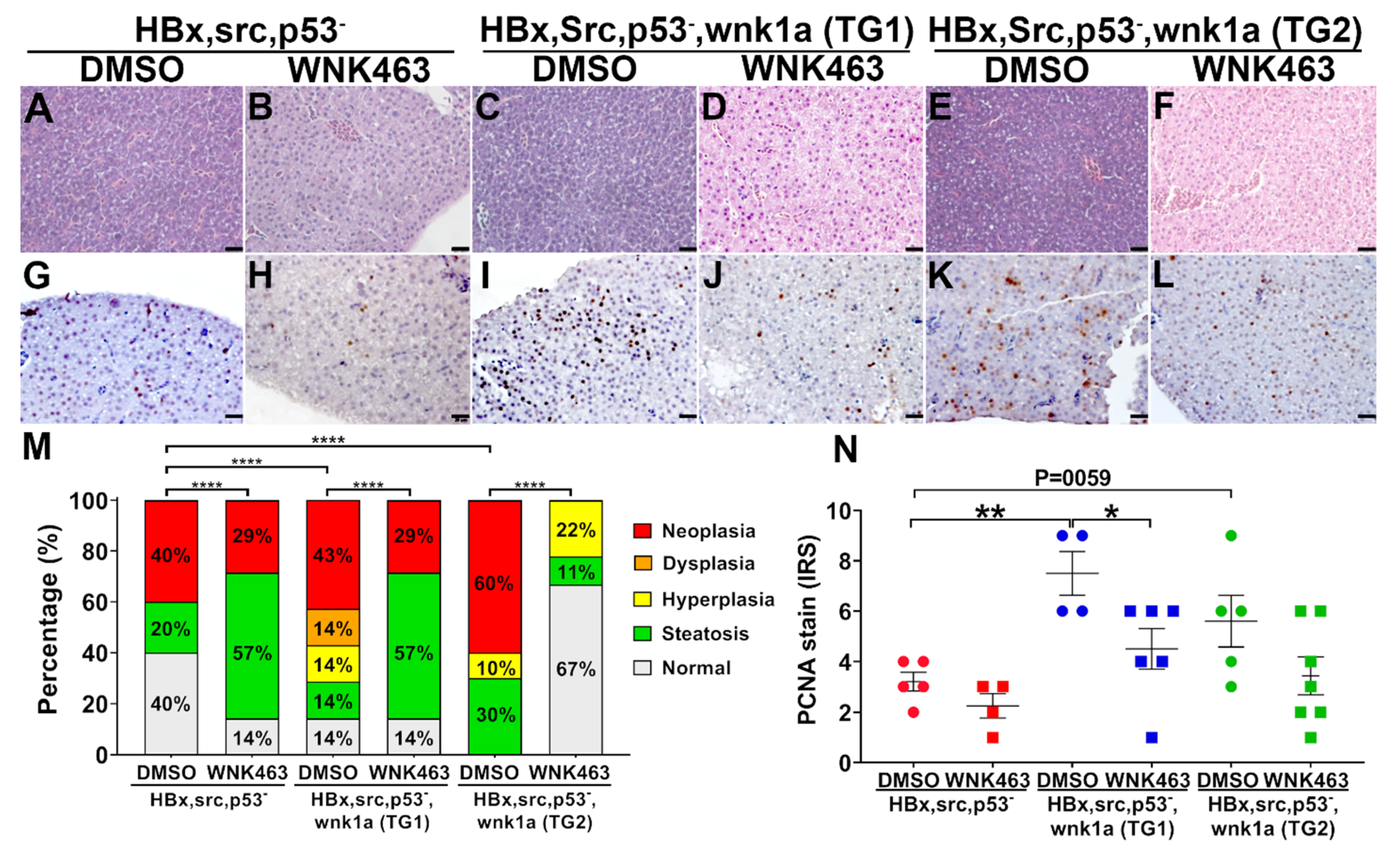 Cancers 12 00575 g008