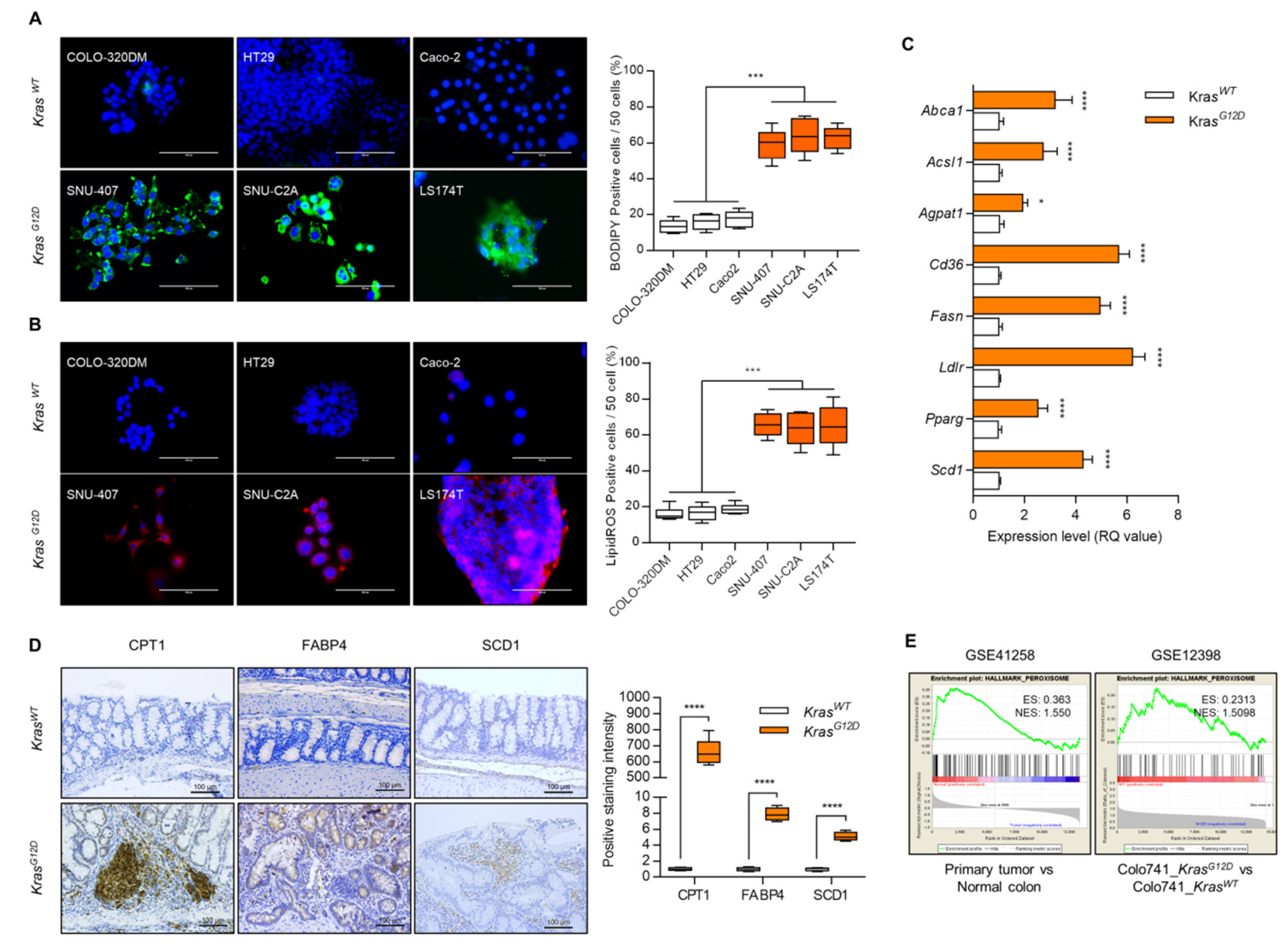 Cancers 12 00576 g001 Cancers 12 00576 g001