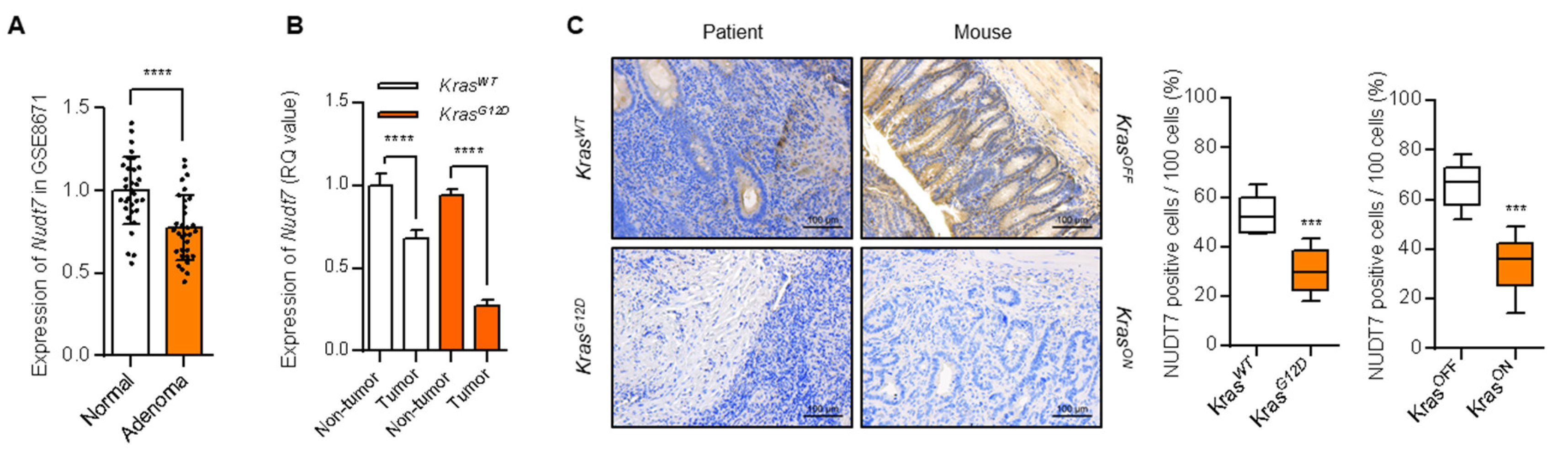 Cancers 12 00576 g002 Cancers 12 00576 g002