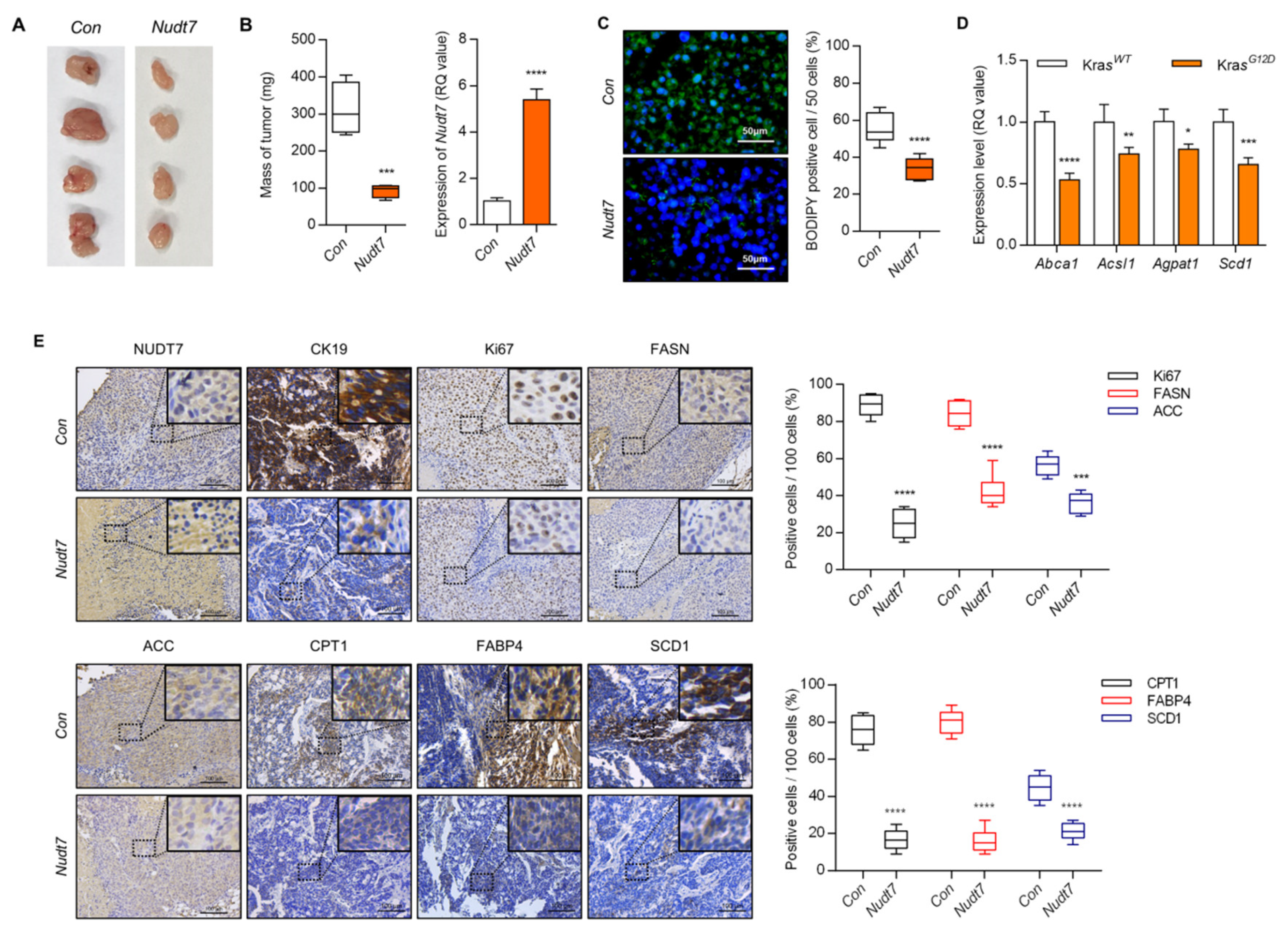 Cancers 12 00576 g003 Cancers 12 00576 g003