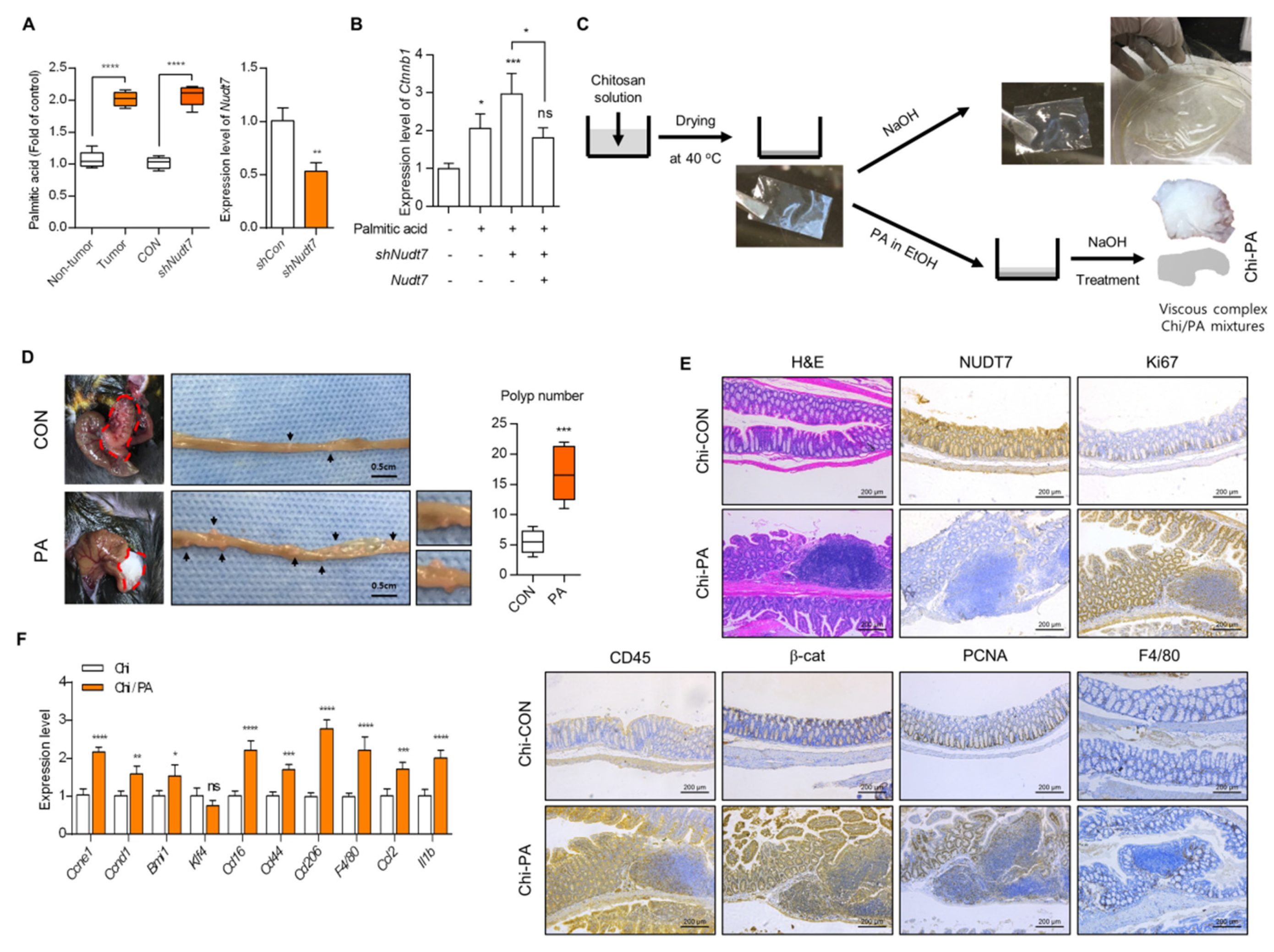 Cancers 12 00576 g006 Cancers 12 00576 g006