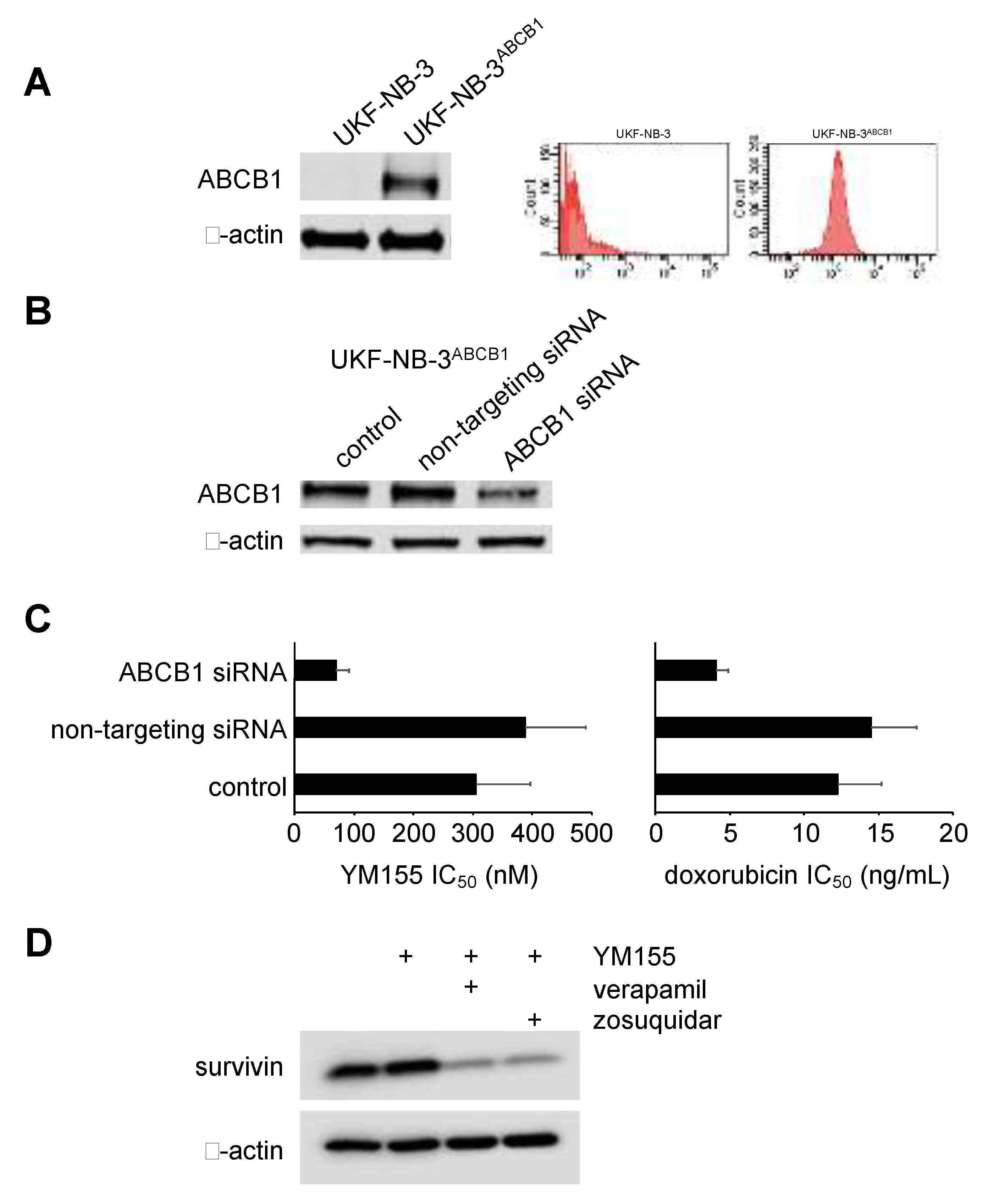 Cancers 12 00577 g006 Cancers 12 00577 g006