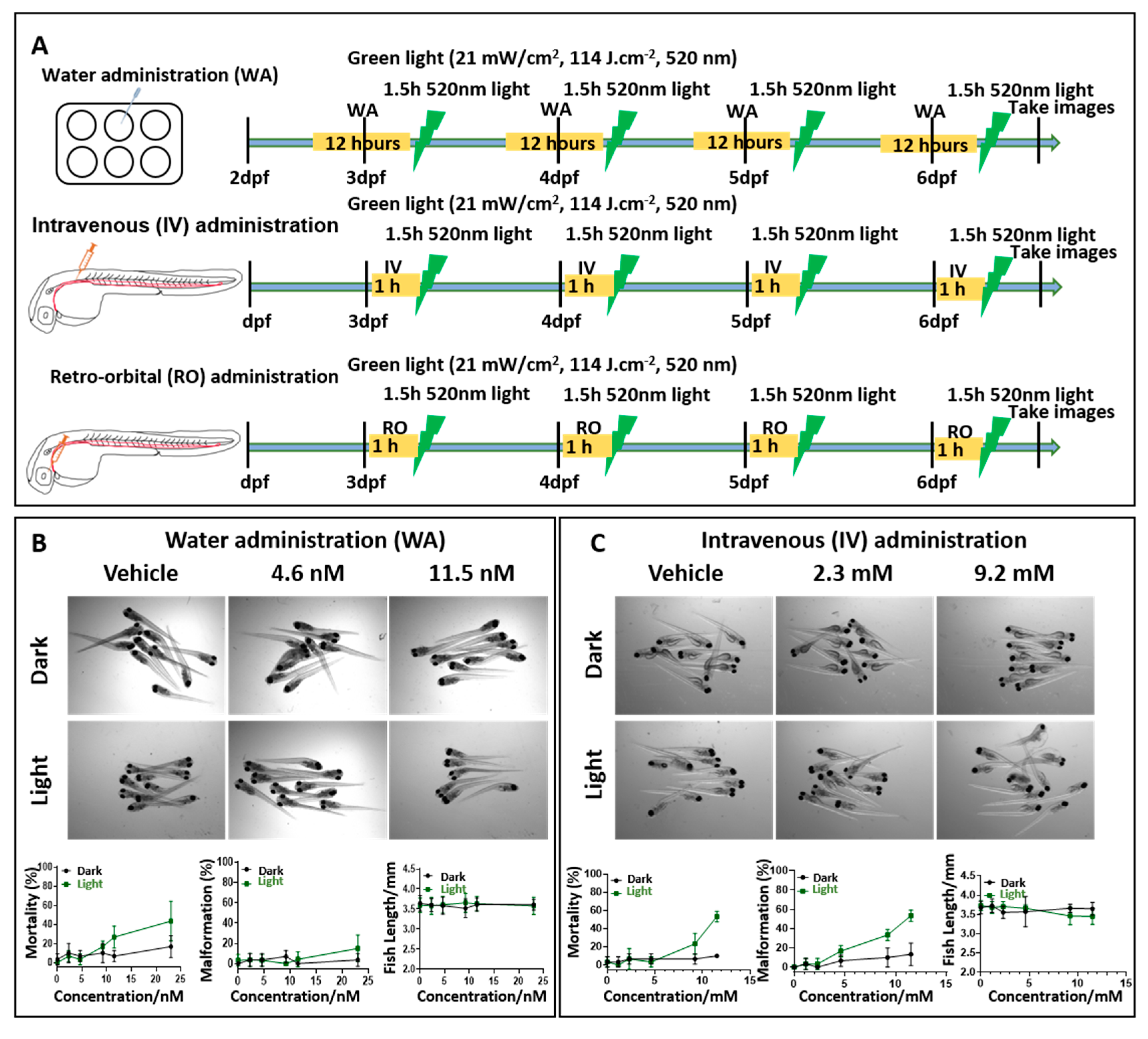 Cancers 12 00587 g005a