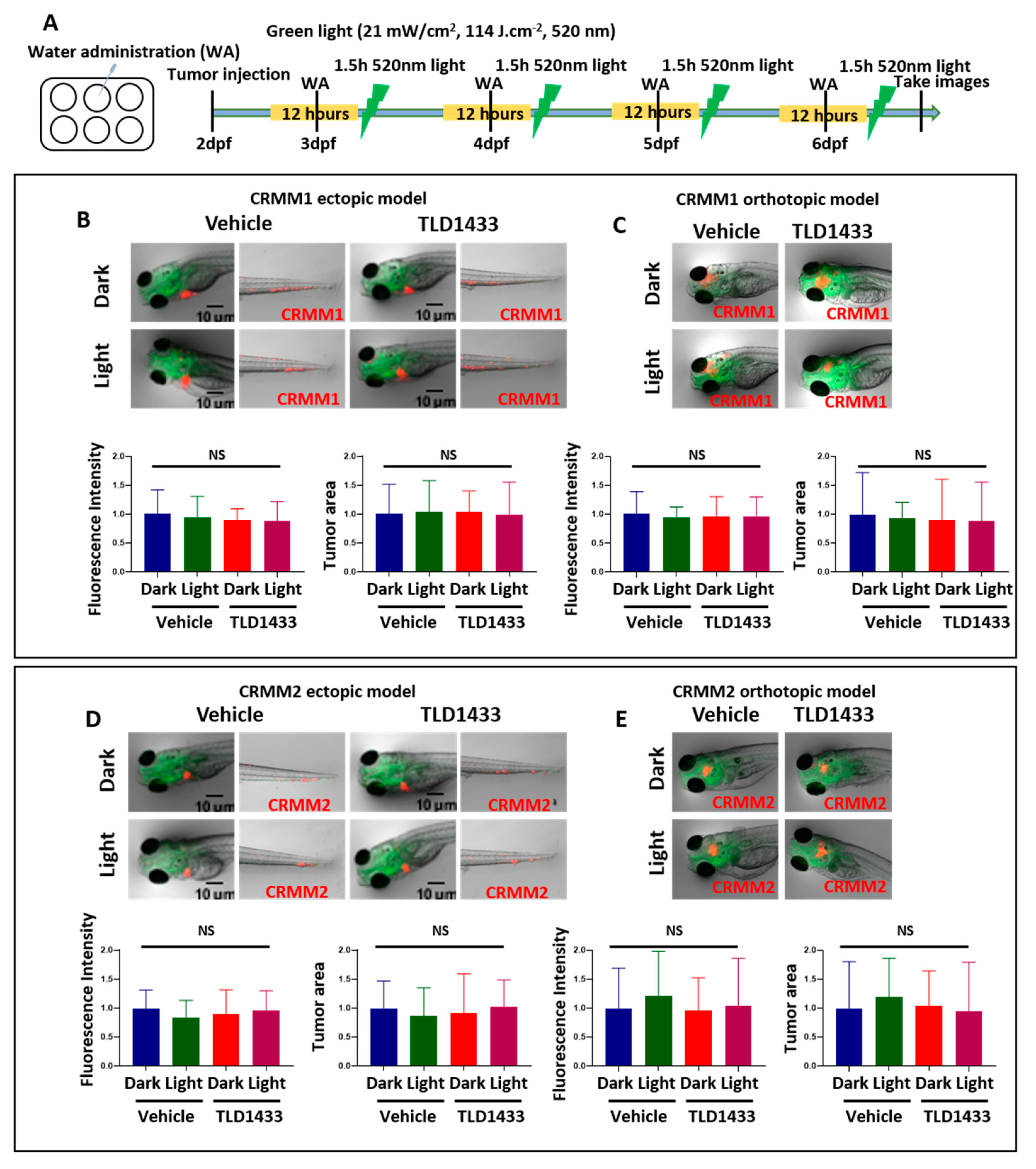 Cancers 12 00587 g007